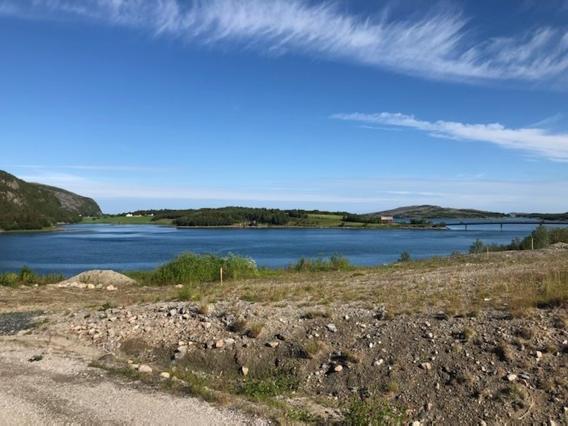 Bilde fra området Galleribilde