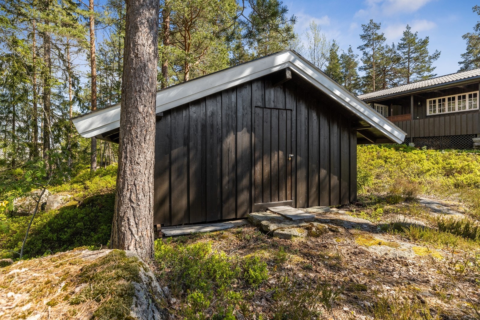 Anneks Galleribilde