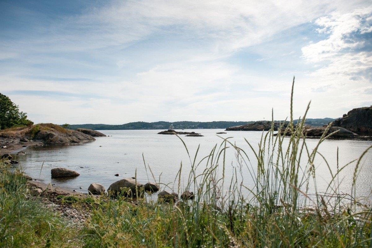 Stranden på nedsiden av tomtene Galleribilde