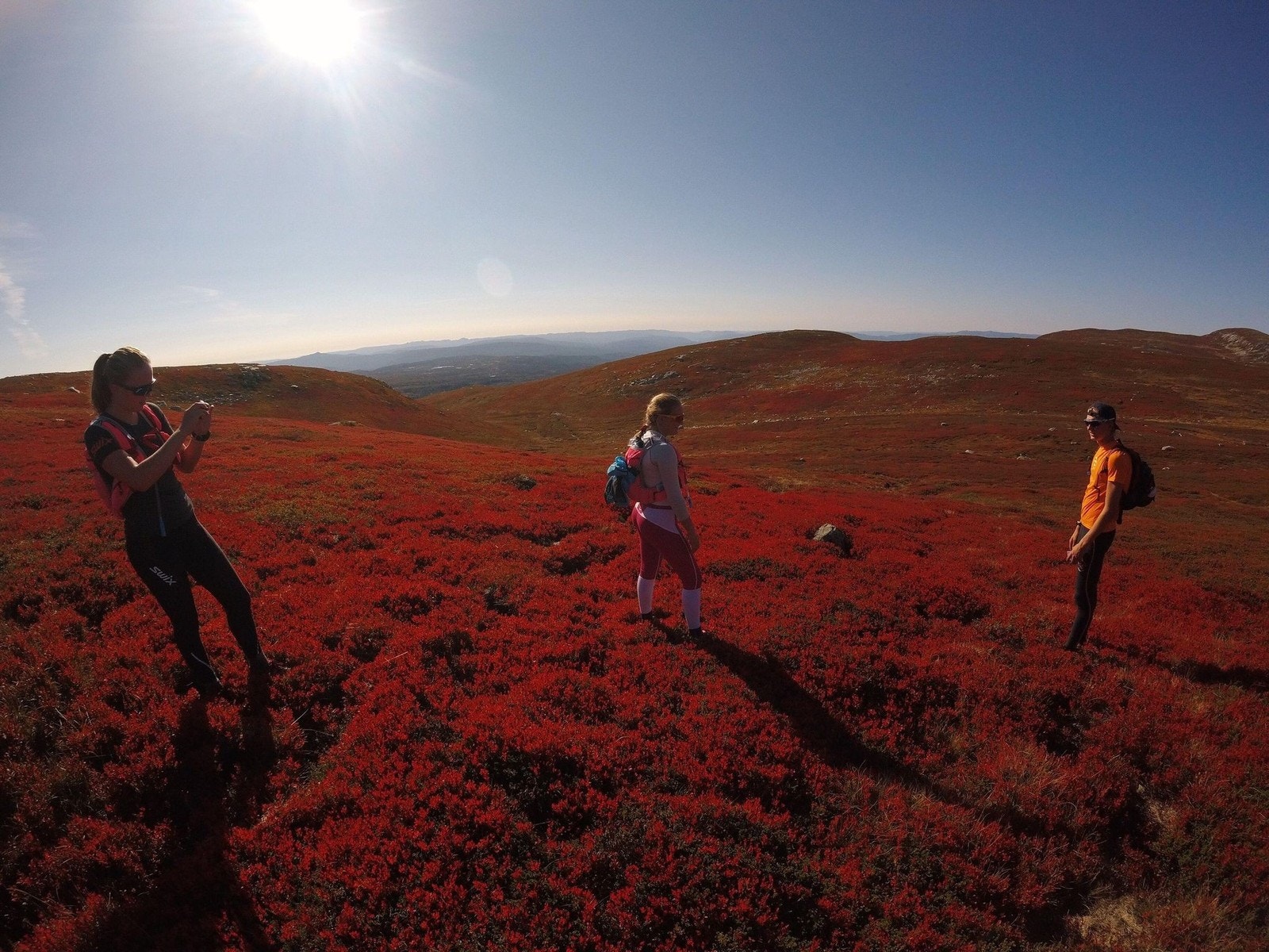 Høst på Blefjell er alltid en vinner! Galleribilde