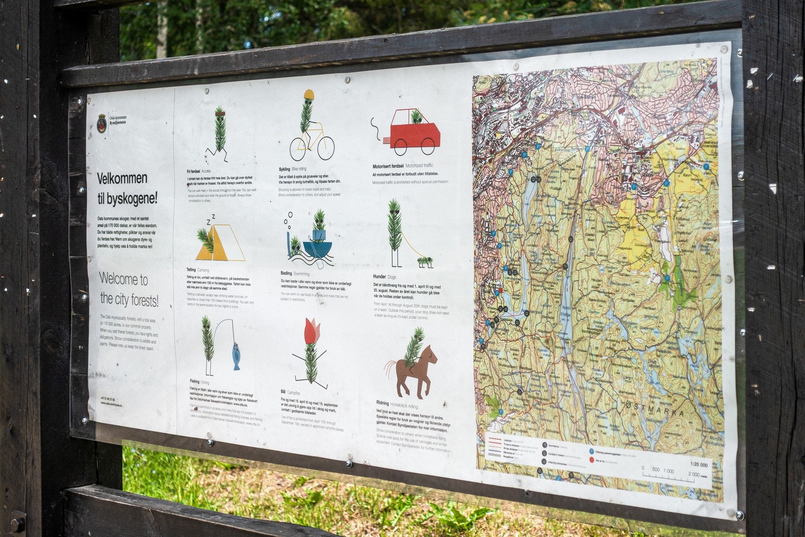 Byskogen. Galleribilde