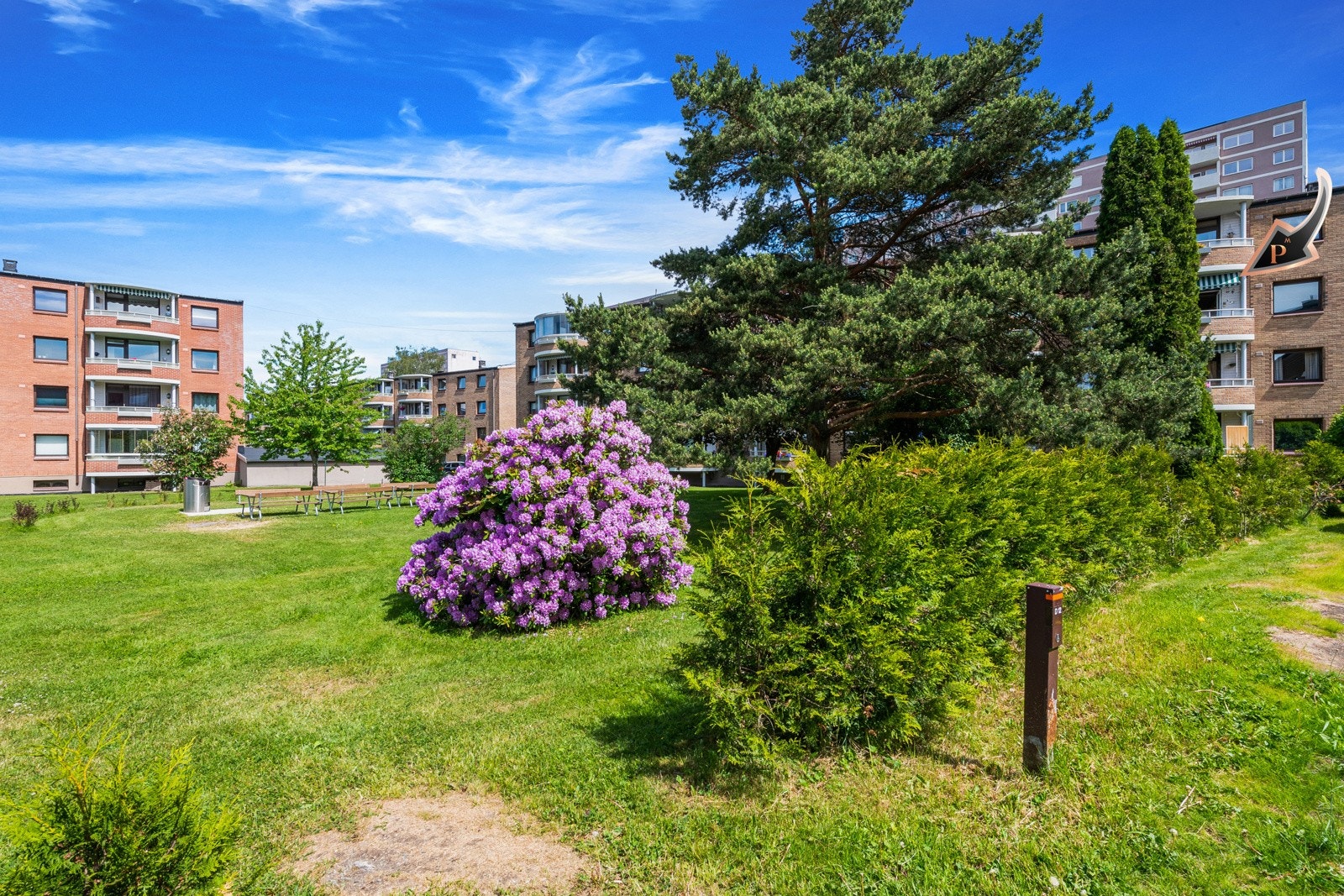 Fellesområdet er velholdt og pent opparbeidet. Galleribilde
