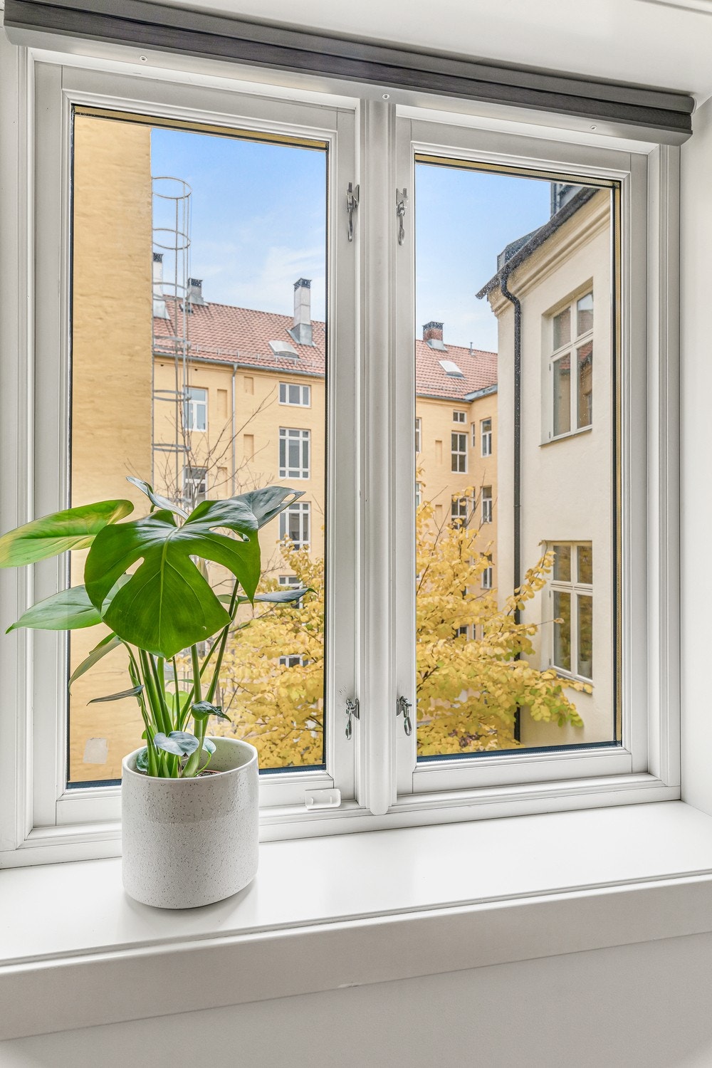 Hyggelig utsyn fra vinduet Galleribilde