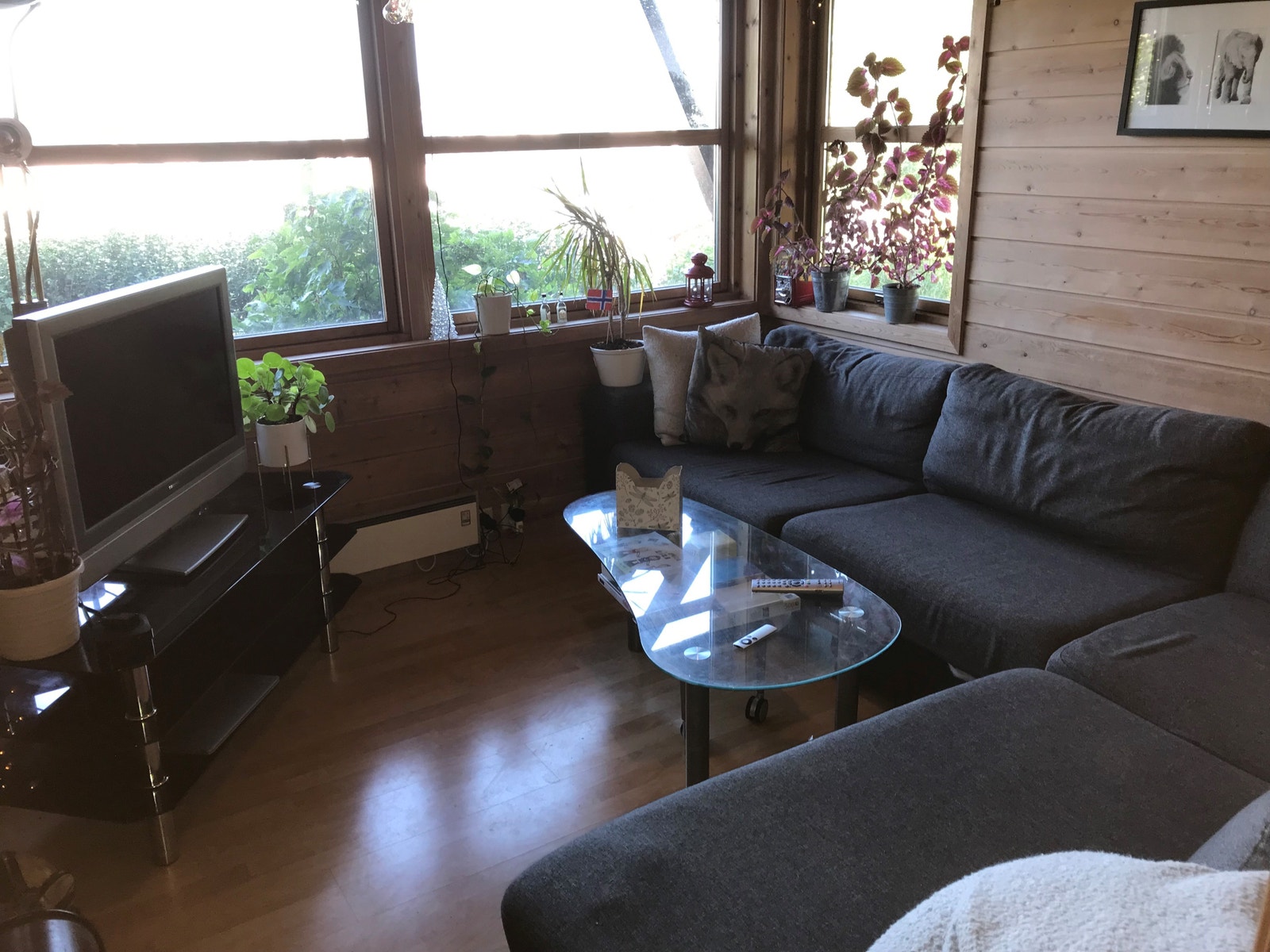 Stue Galleribilde