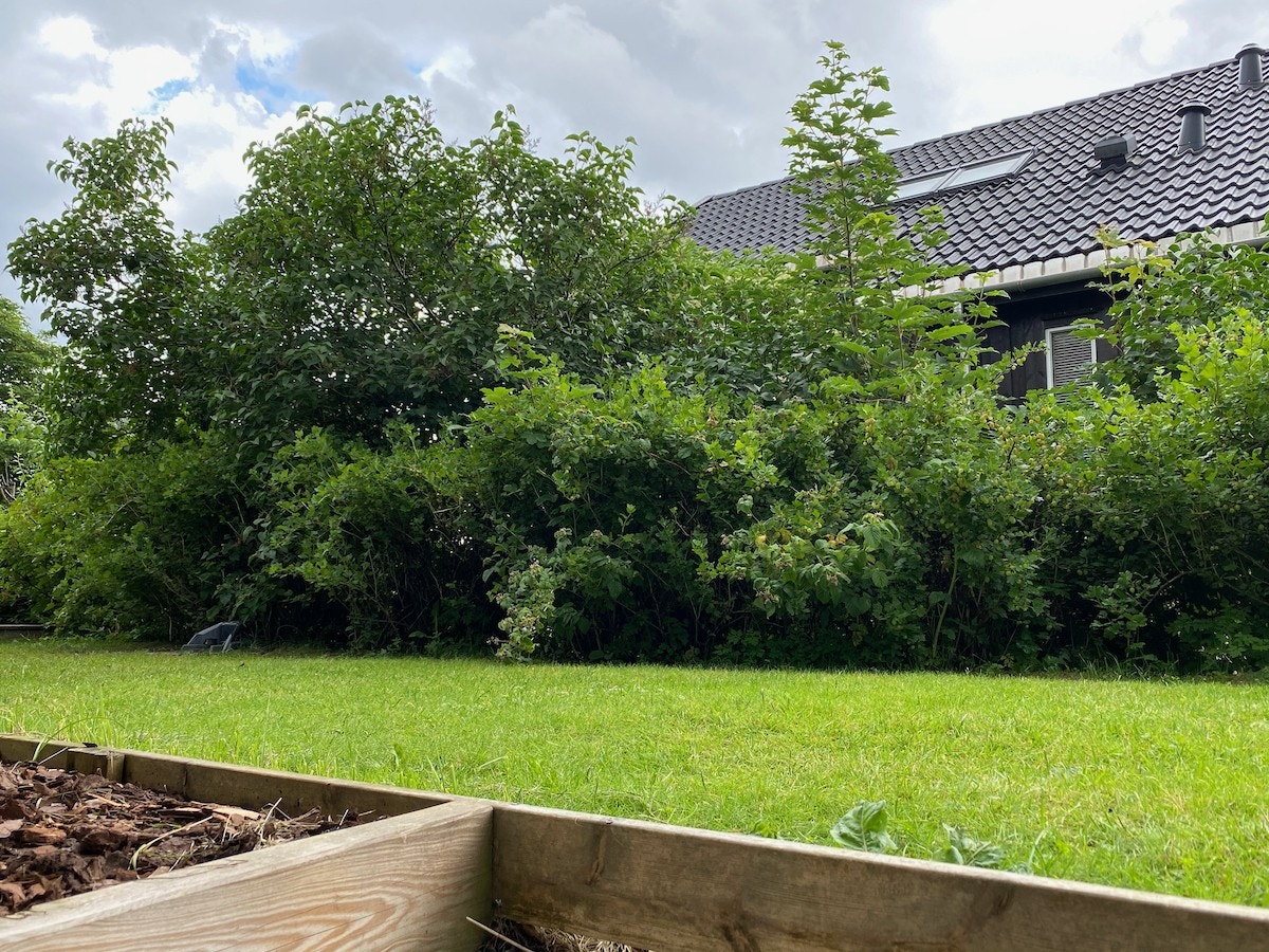 Utsikt fra stue Galleribilde