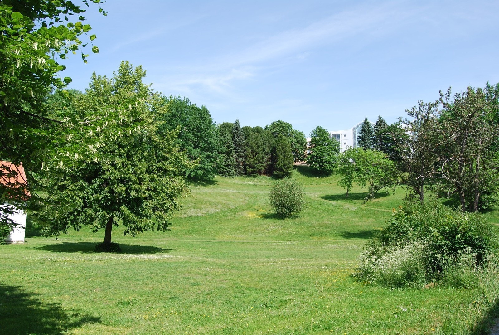 Park i nærområdet Galleribilde