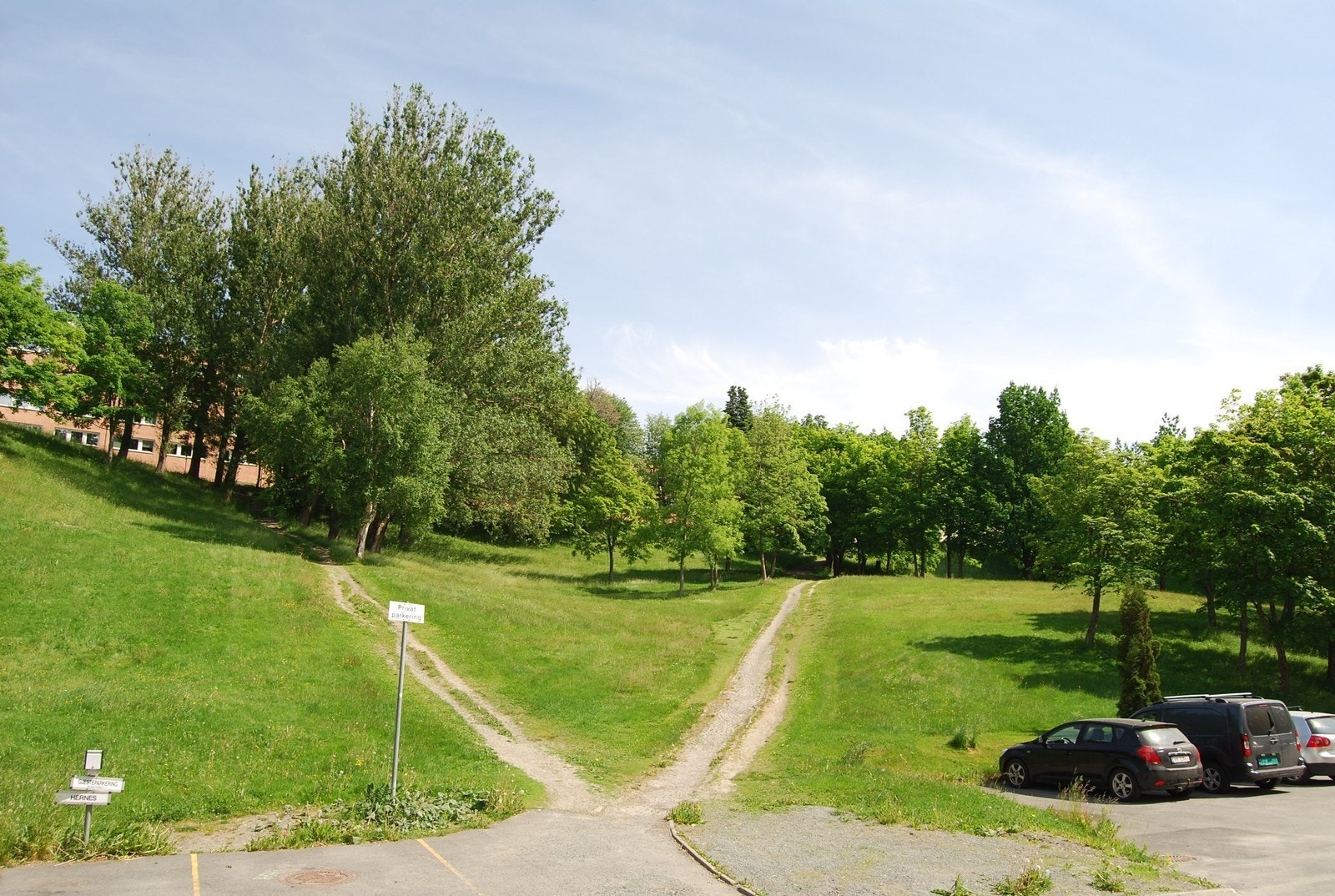 Sti gjennom park til NTNU Gløshaugen Galleribilde