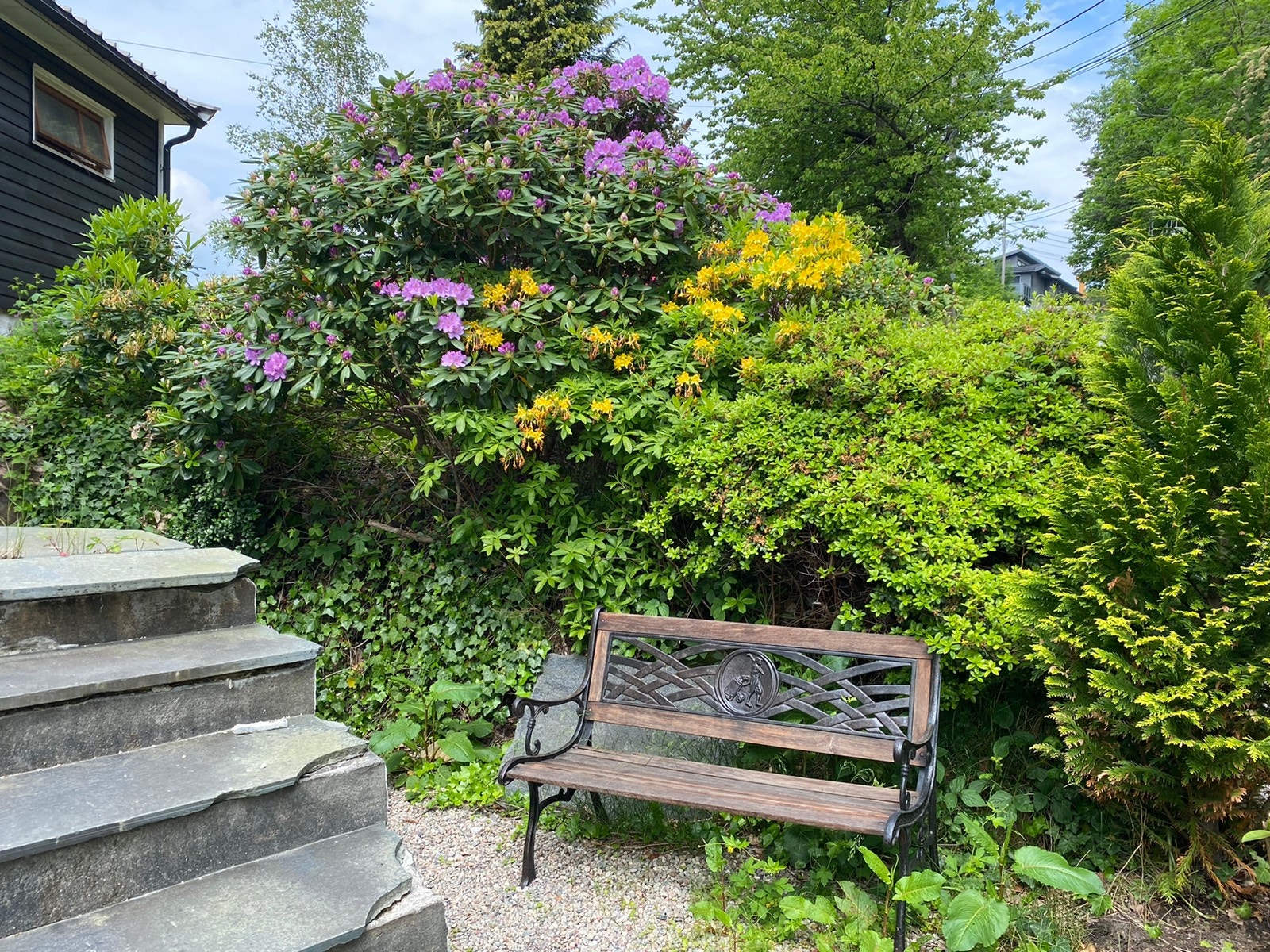 Inngangsparti med eget uteområde Galleribilde