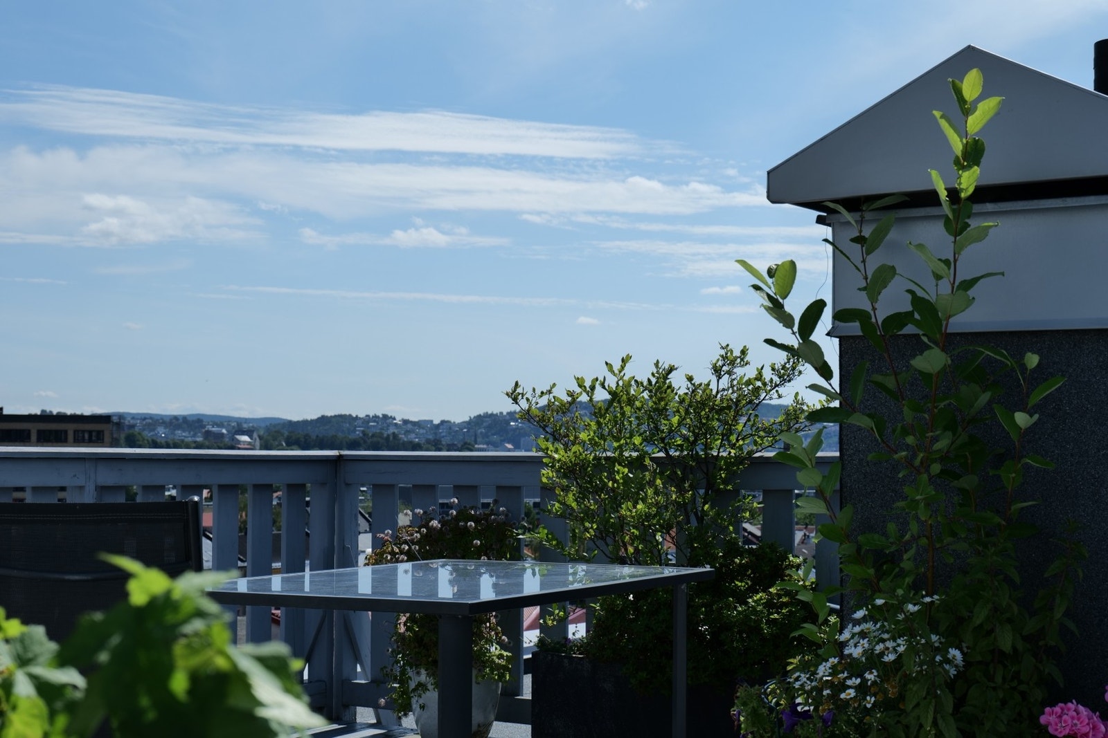 Takterrasse Galleribilde