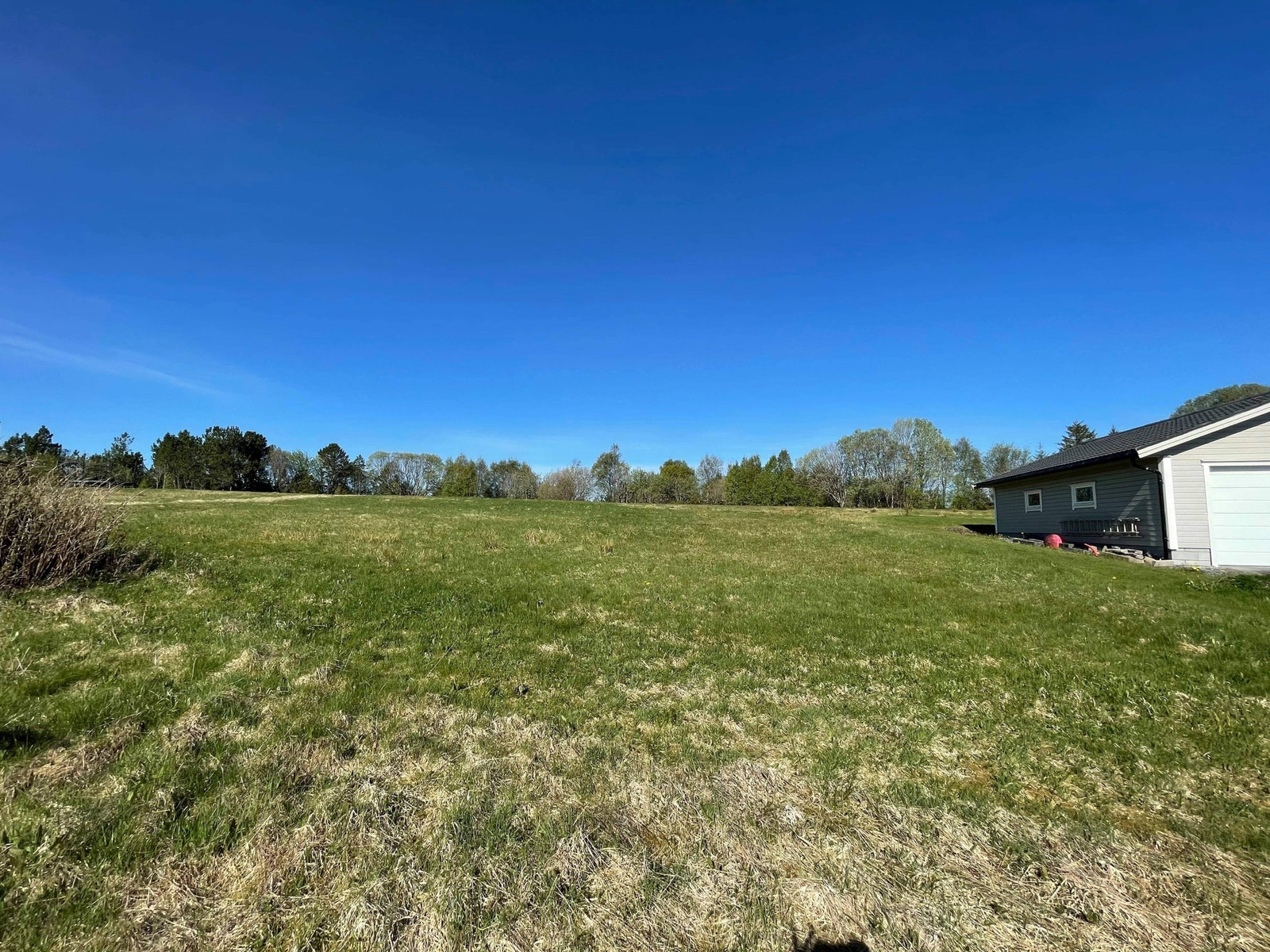 Tomt sett nedenfra Galleribilde