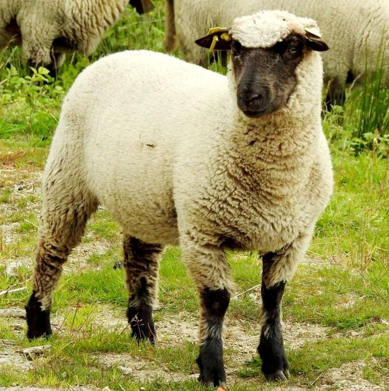 sau サウヘアー(Sau hair)|ホットペッパービューティー