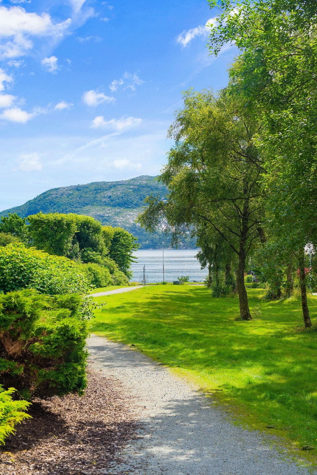 Fellesareal på sørsiden med utsikt mot Gandsfjorden Galleribilde
