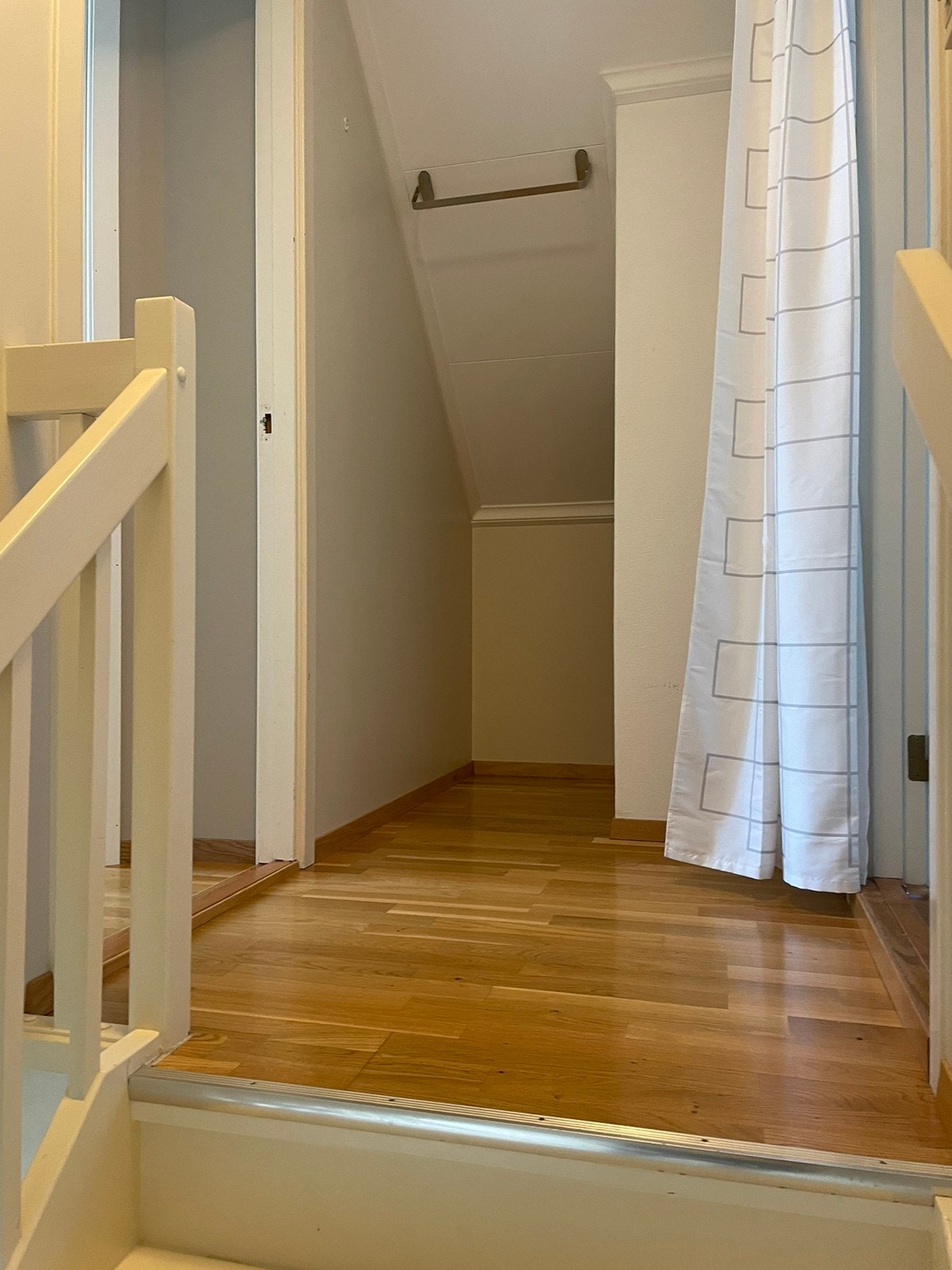 Lite kott på toppen av trappa Galleribilde