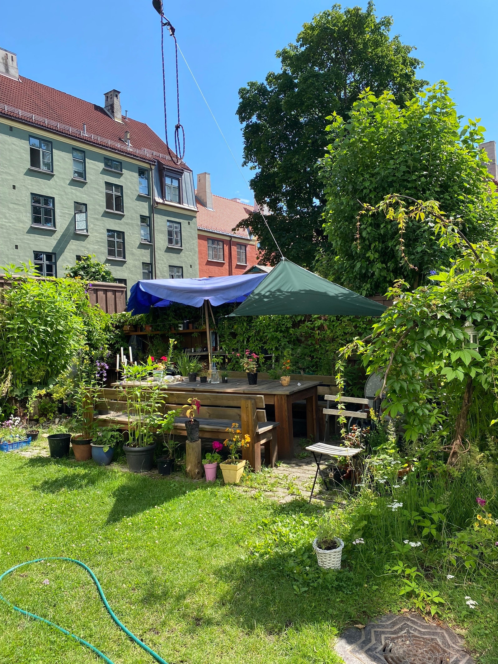 Se så fint!! Galleribilde