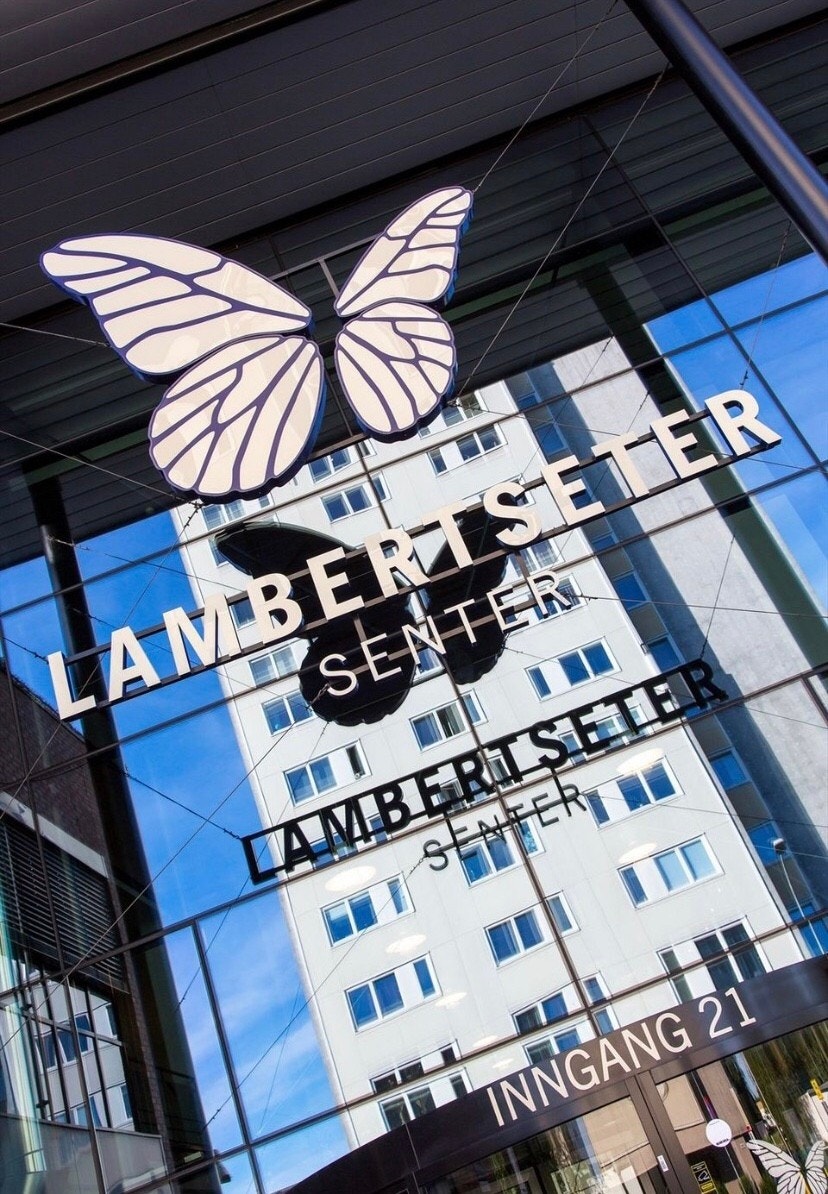 Enkelt å komme seg til Lambertseter senter med buss og t-bane. Her er det et godt utvalg av butikker, inkludert Vinmonopolet, bibliotek og kino. Galleribilde