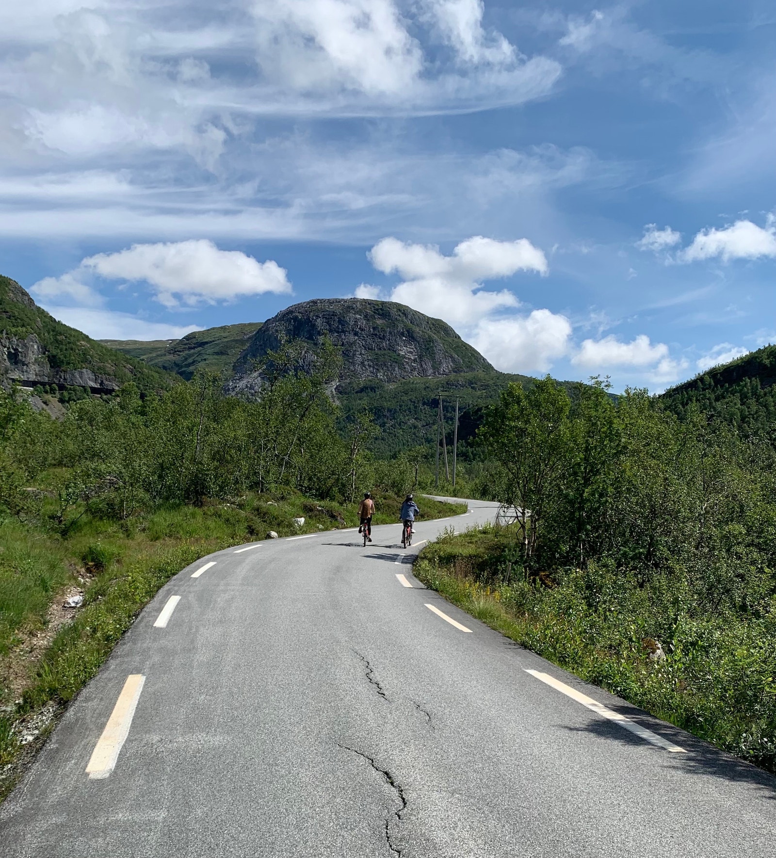 Flott sykkelvei (Foto: Siv Helen Lekven) Galleribilde