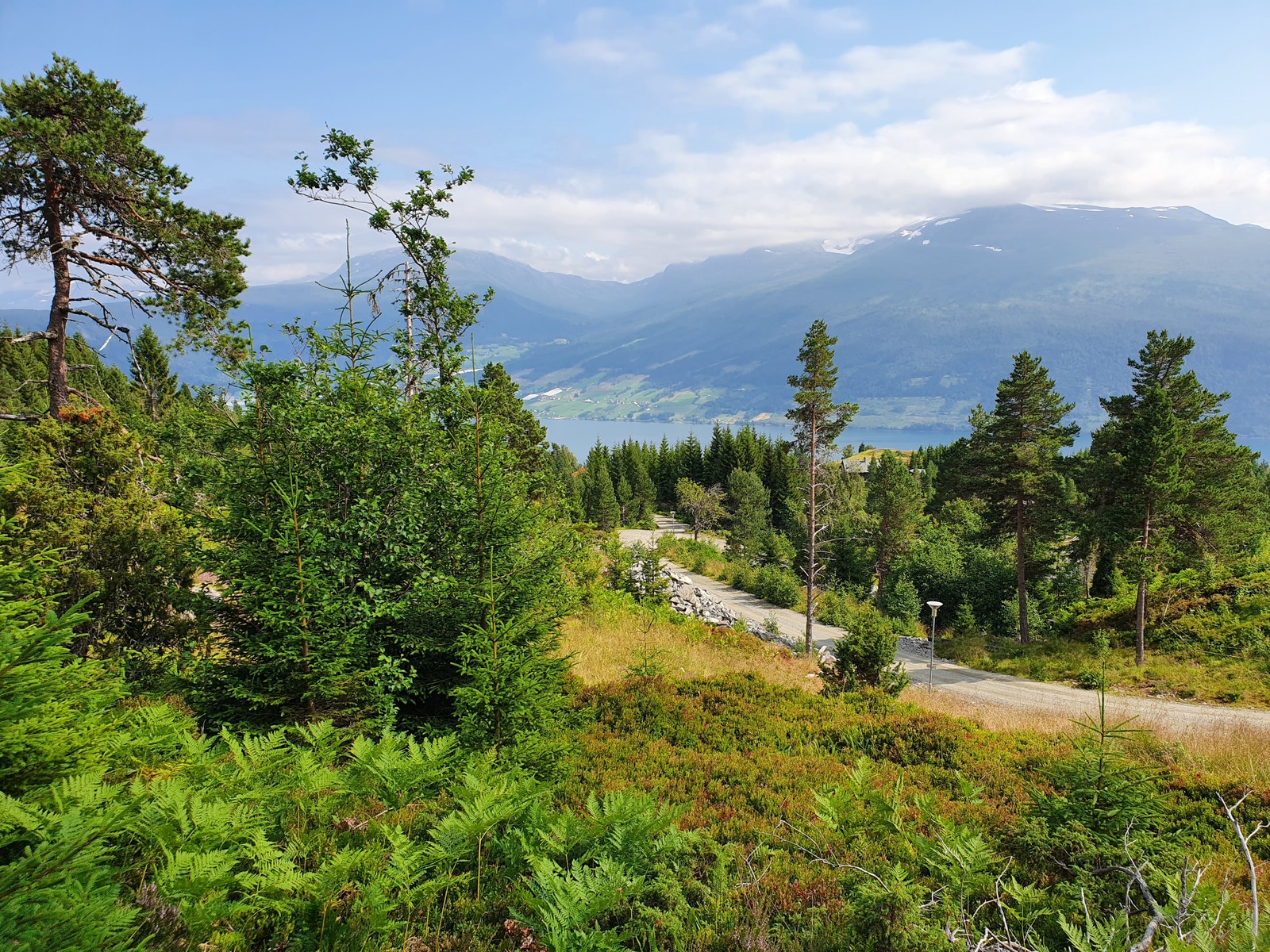 Tomt 30 SOLGT Galleribilde