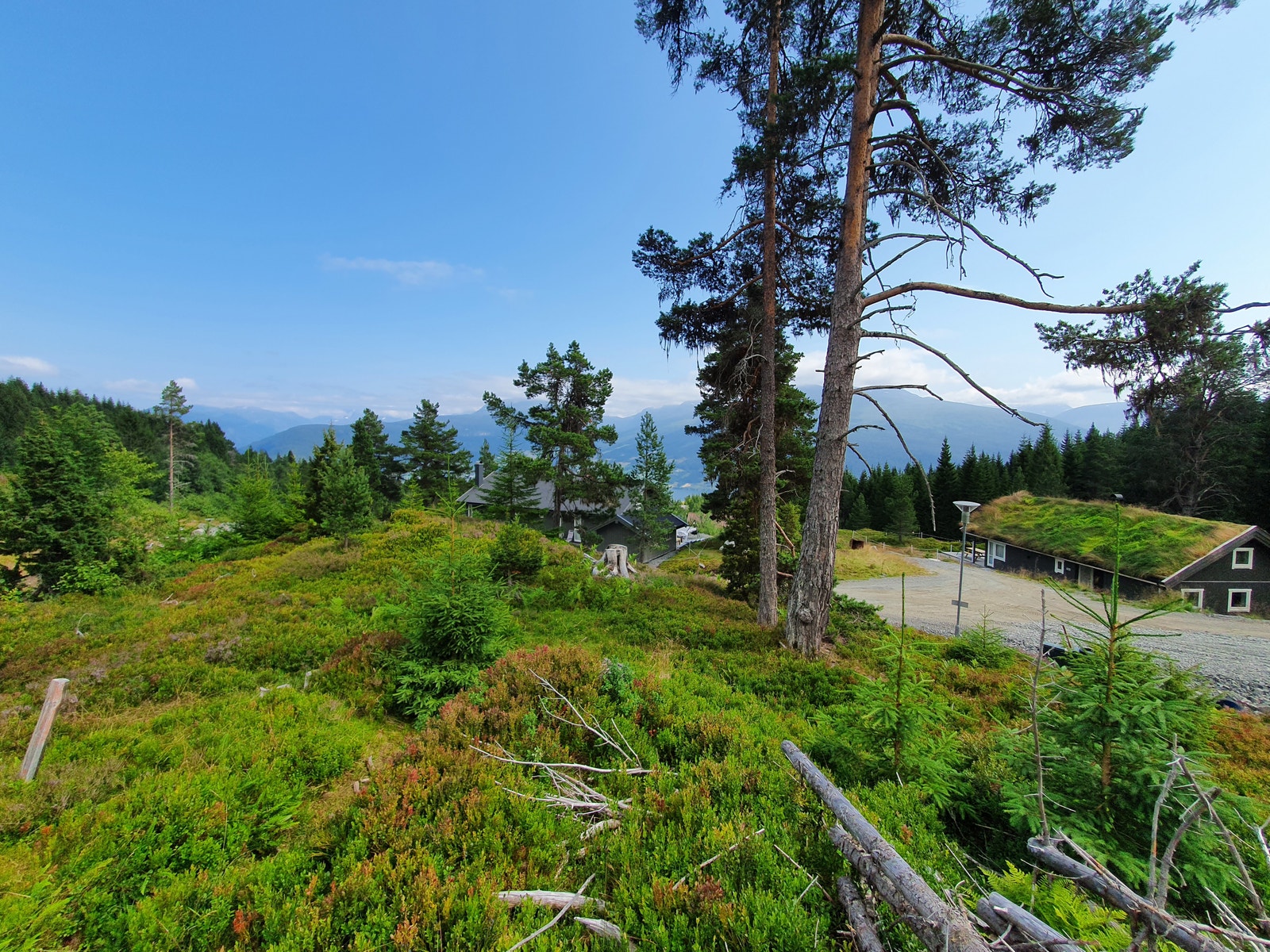 Tomt 23 pris 590000+omk Galleribilde