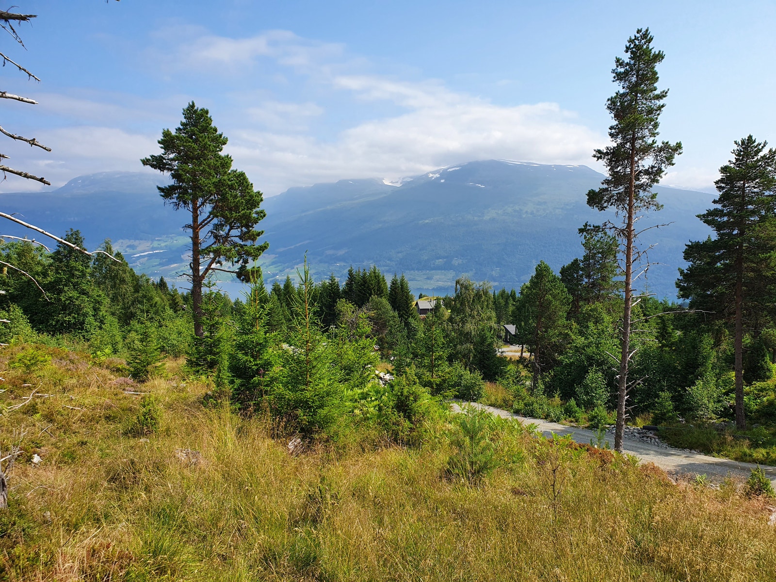 SOLGT- Tomt 31 pris 490000+omk Galleribilde