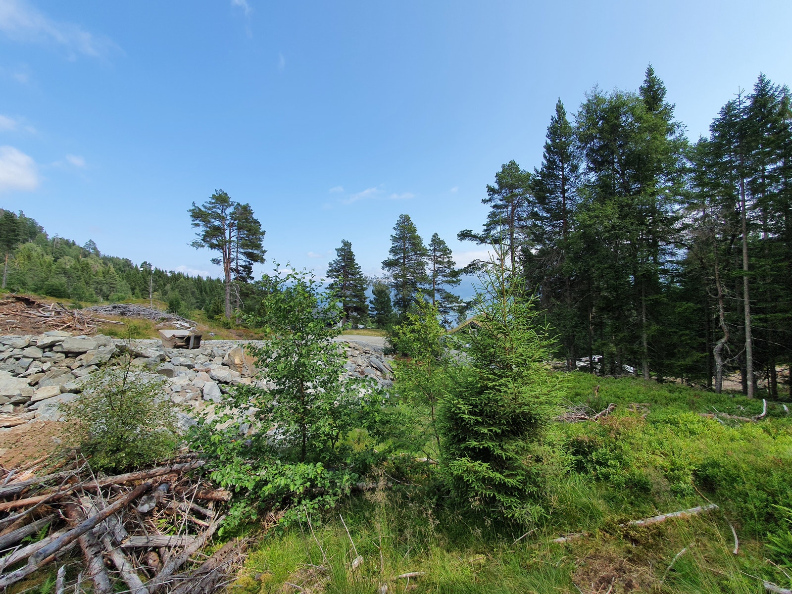 Tomt 24 pris 430000+omk Galleribilde