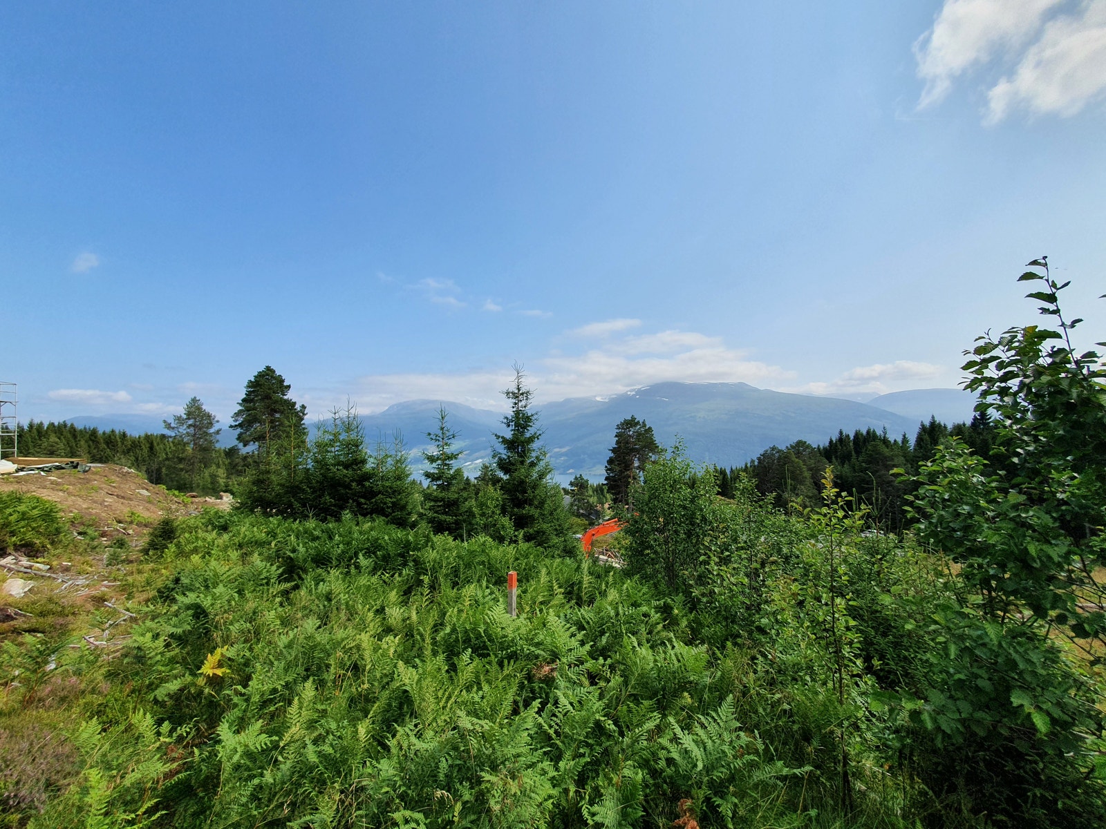 Tomt 27 pris 530000+omk Galleribilde