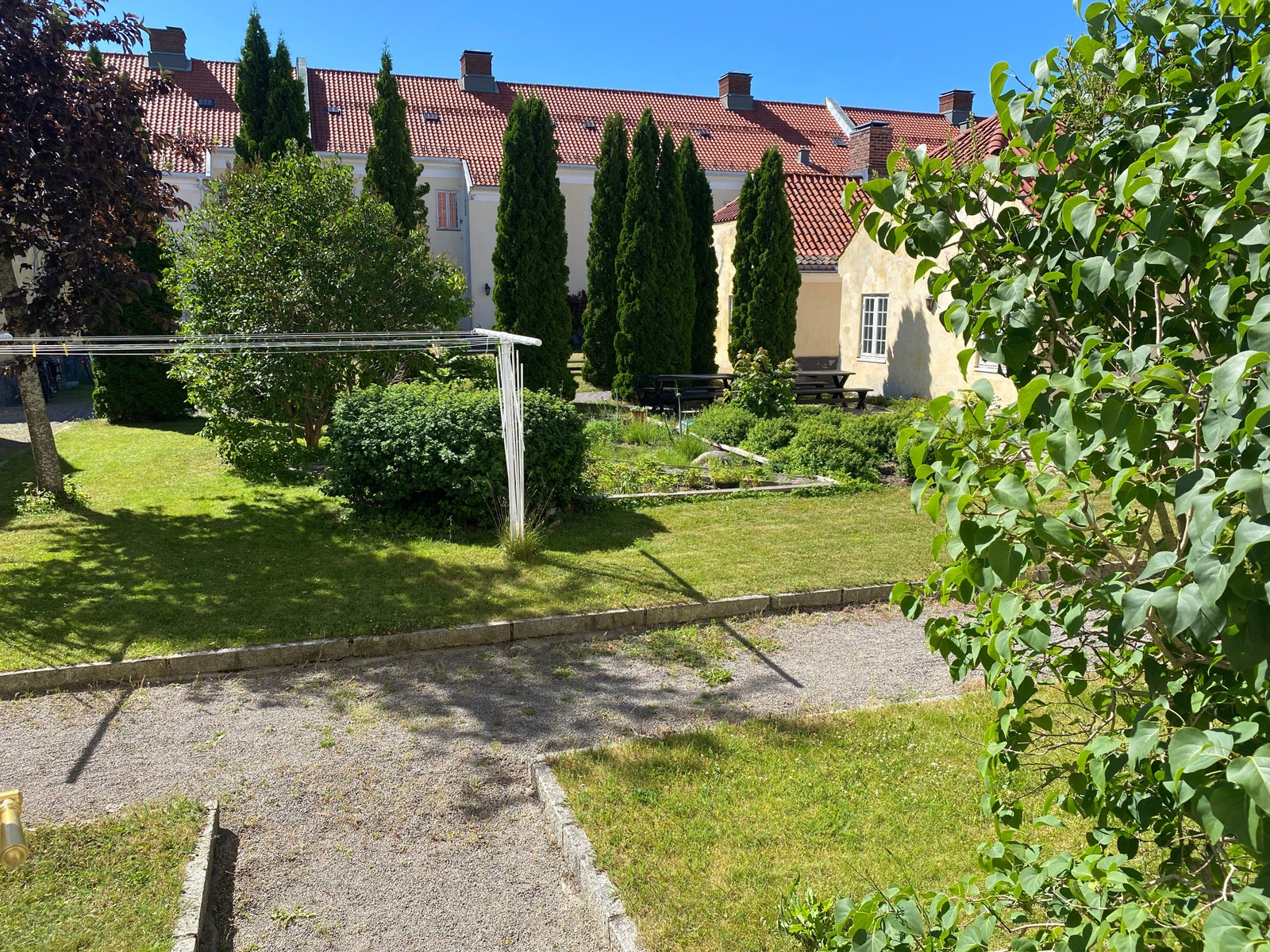 Stor felles hage Galleribilde