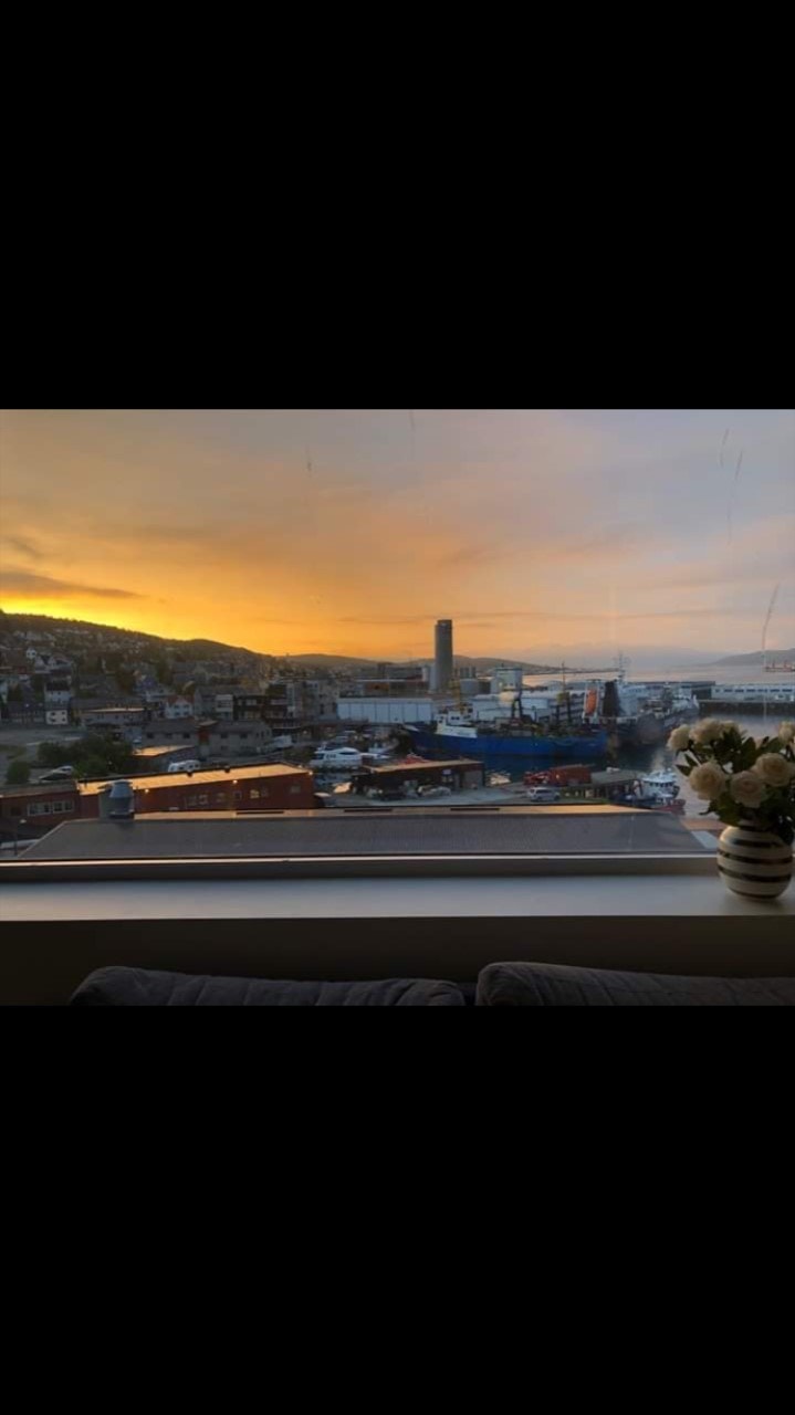 Utsikt fra stua Galleribilde