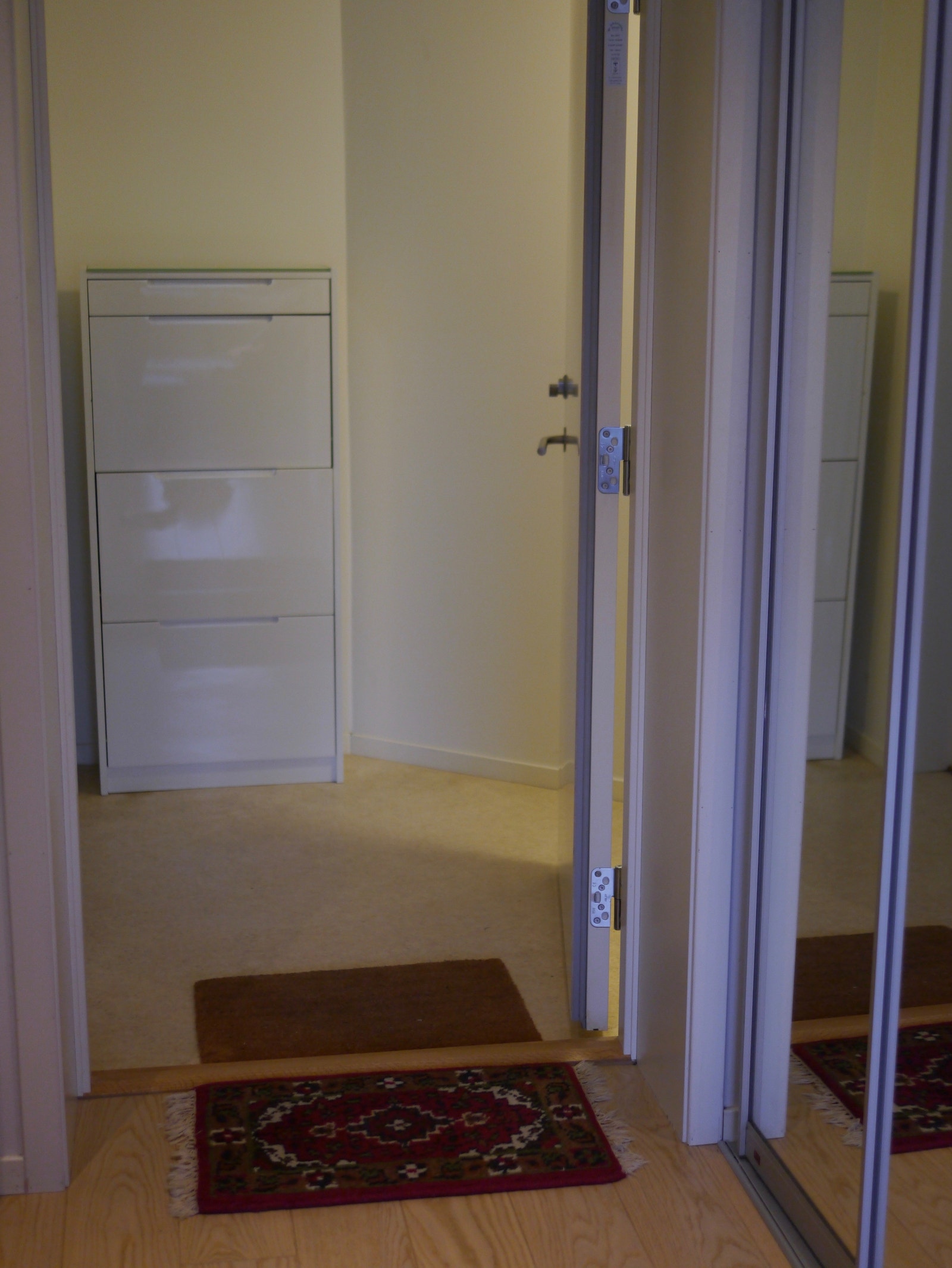 Stort skoskap i gang utenfor leiligheten Galleribilde