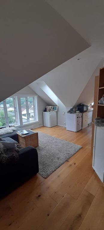 Stue Galleribilde