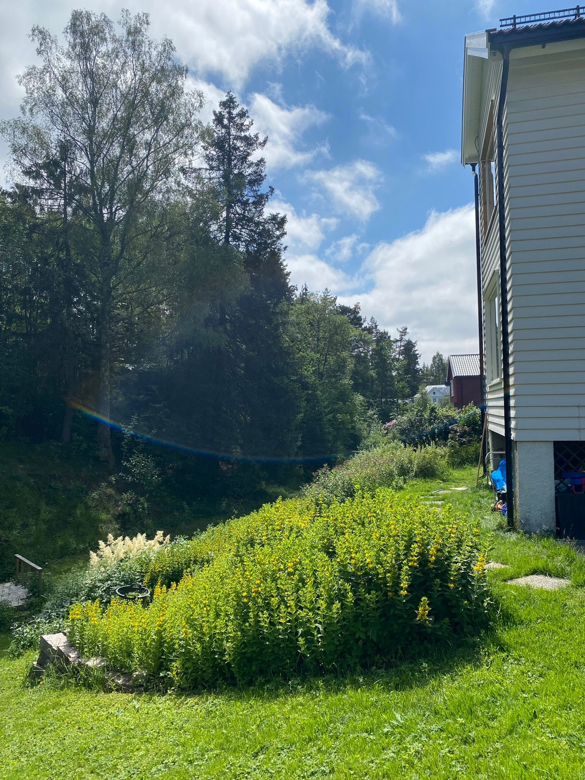 Inngang rundt hjørnet Galleribilde