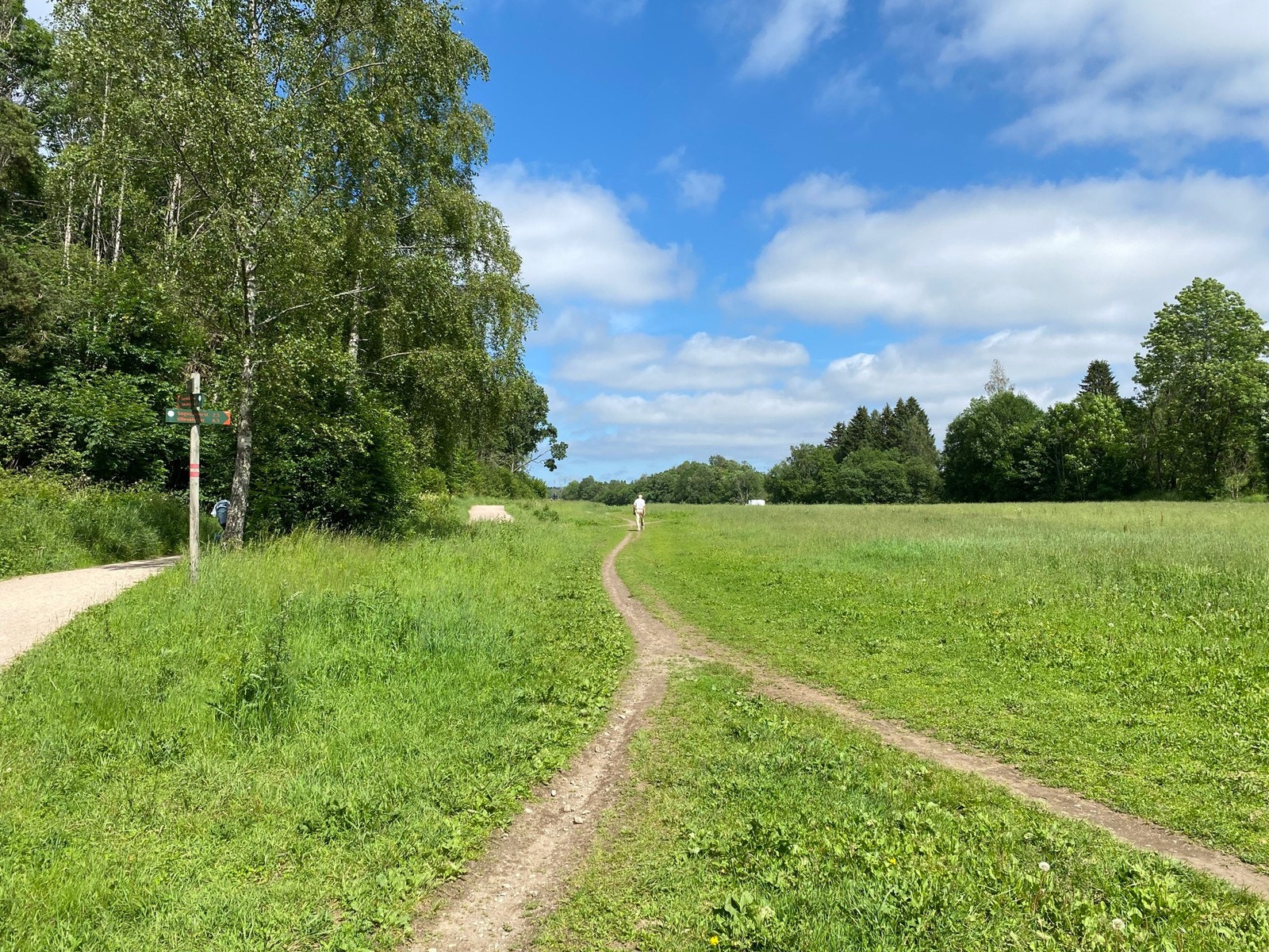 Sognsvann i enden av denne stien. Mange turmuligheter i området, nære byen. Galleribilde
