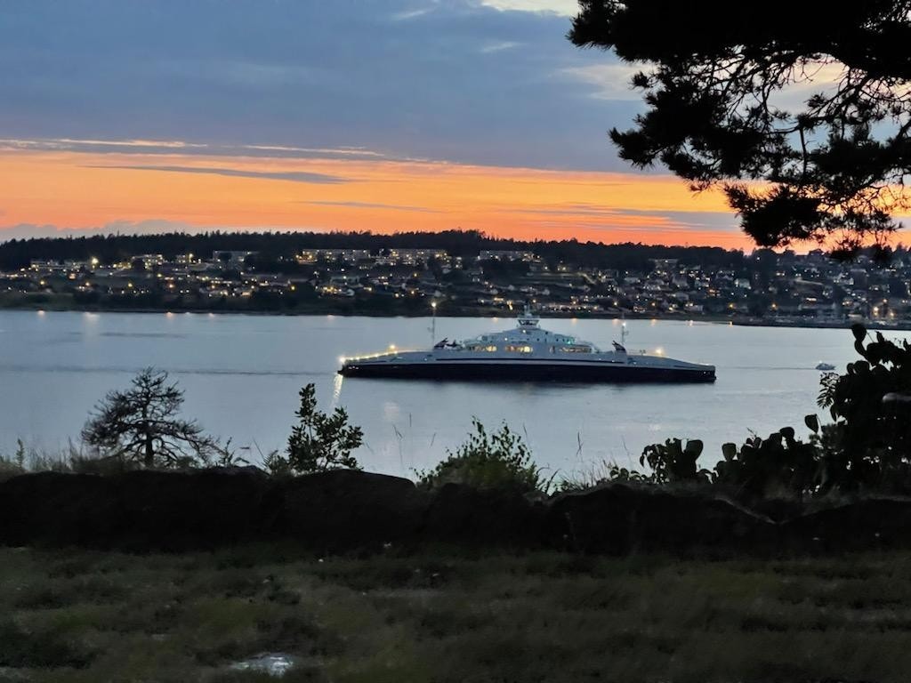 Jeløya Galleribilde