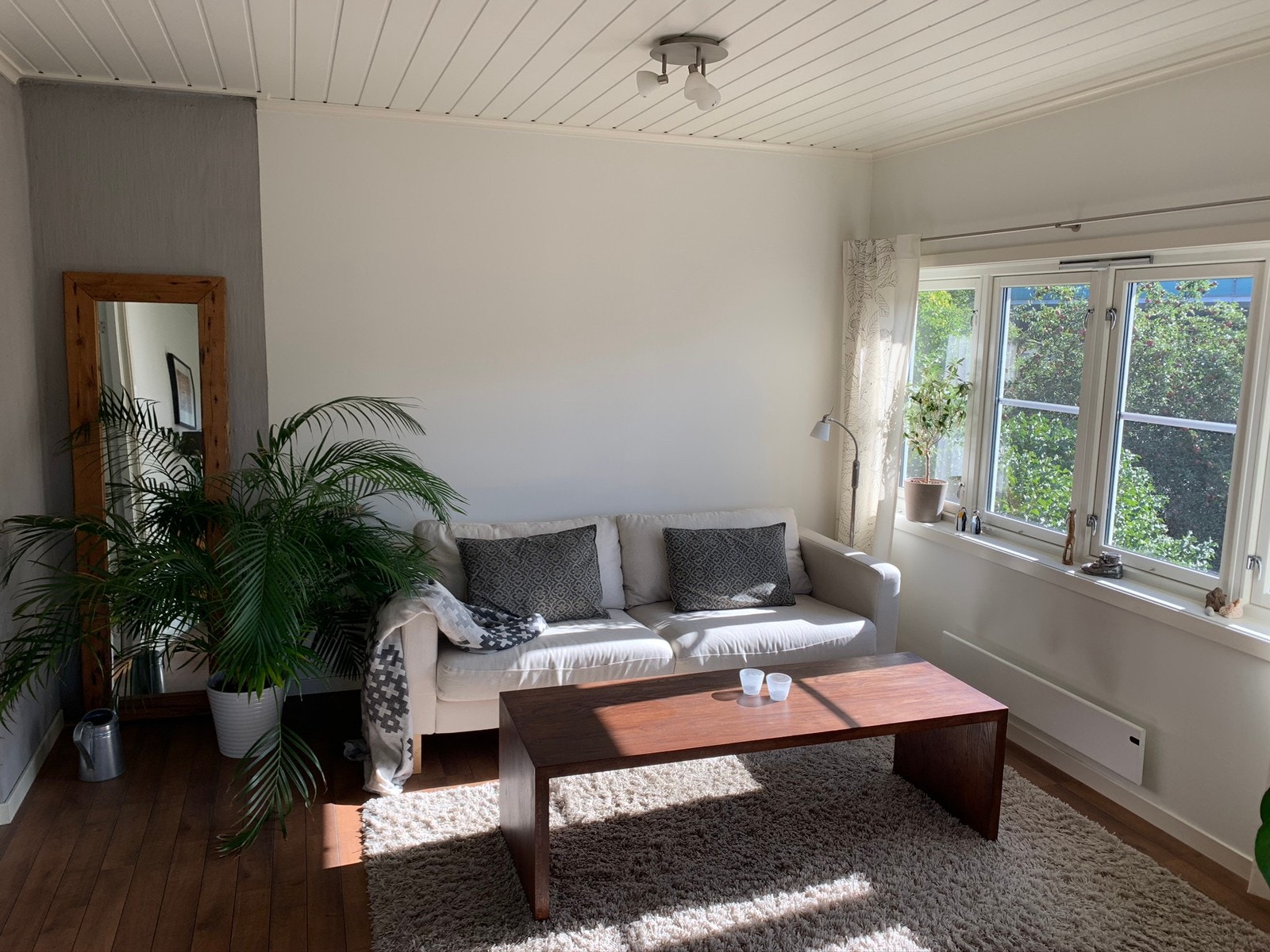 Stue med mye naturlig lys Galleribilde