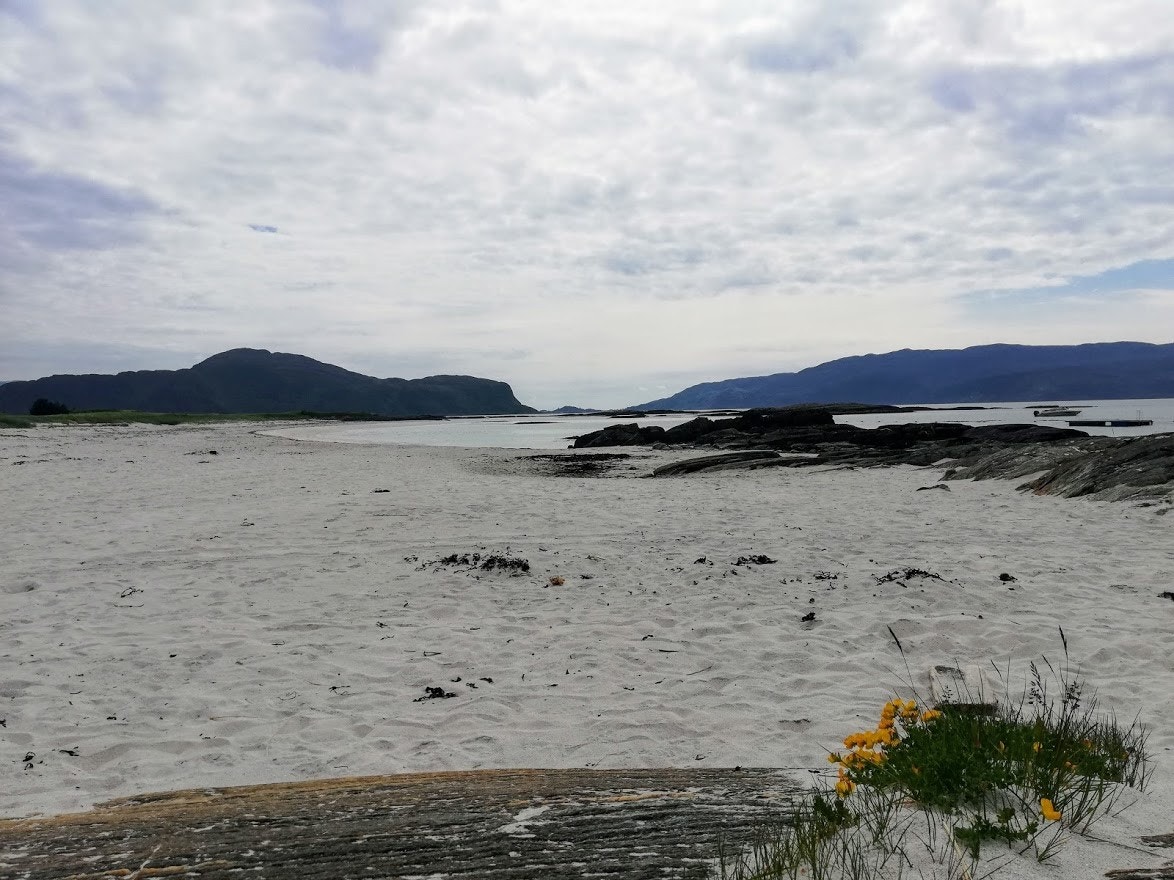 Grotlesanden Galleribilde