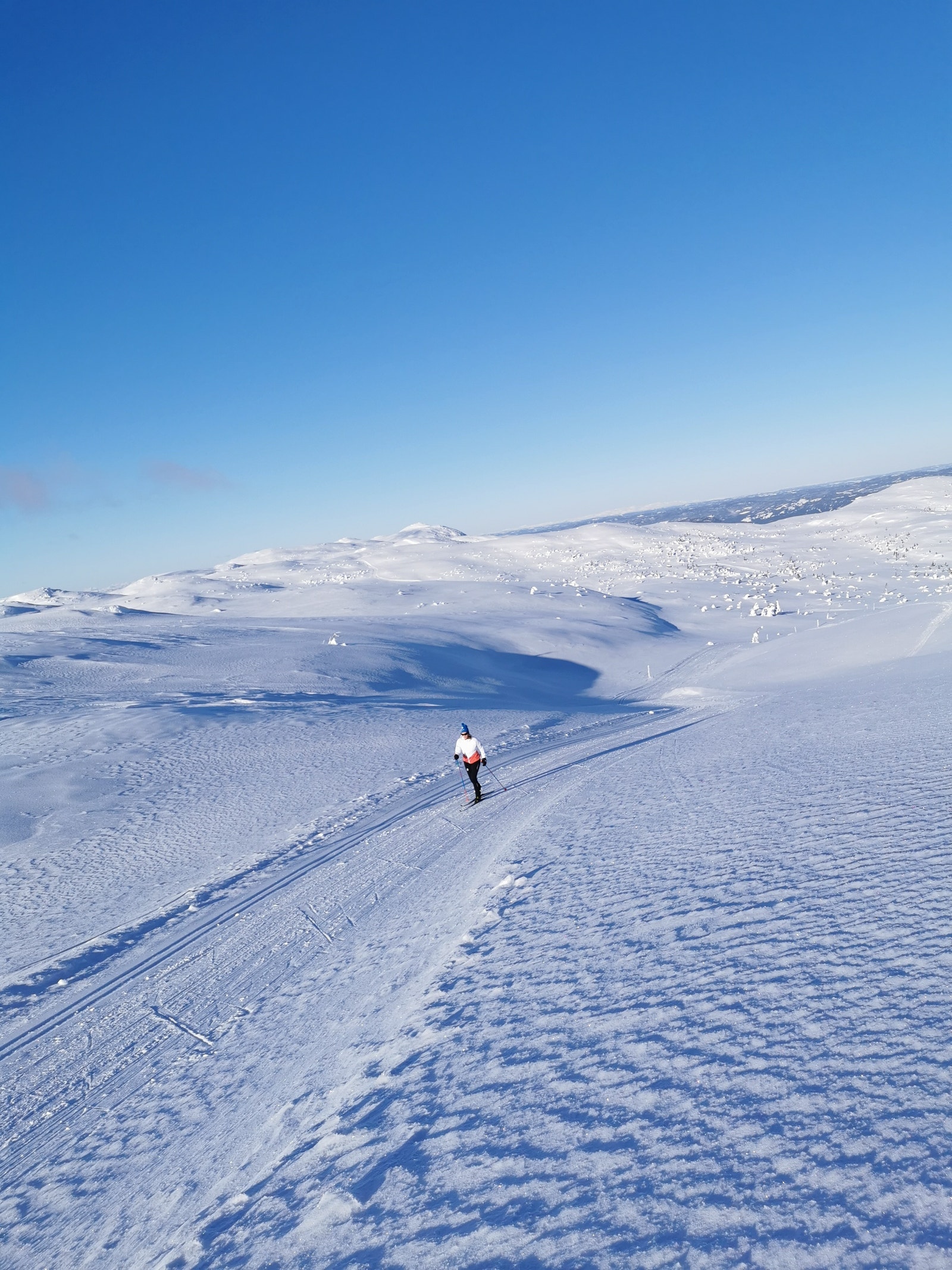 Vill og flott natur på Vikerfjell Galleribilde