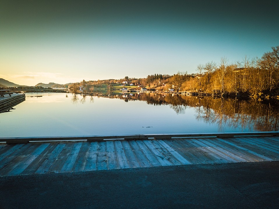 Nærområde. Galleribilde