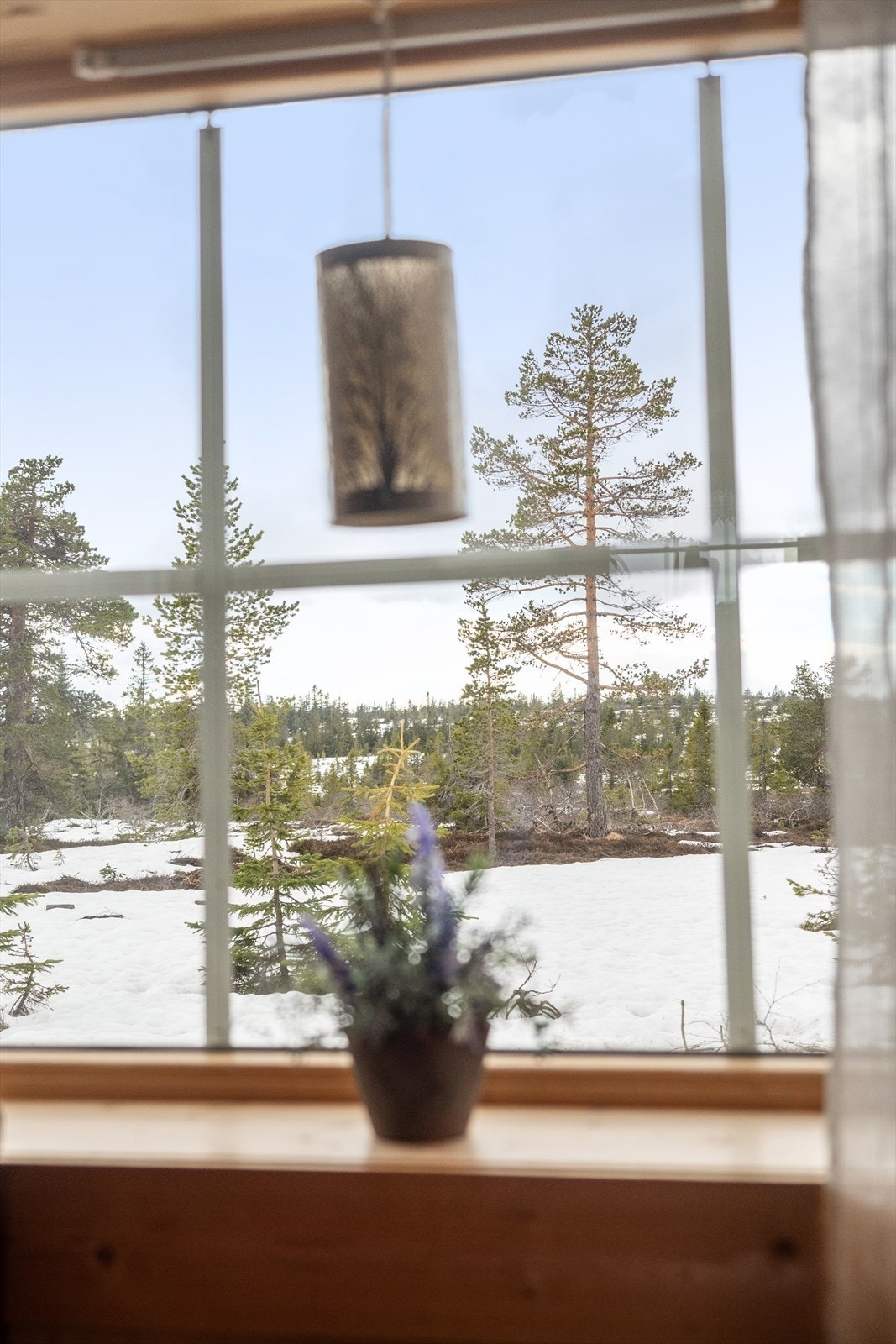 Hyggelig utsyn Galleribilde