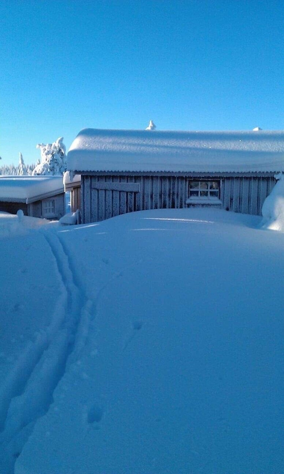 Selgers eget bilde. Budor er særdeles snøsikkert og byr på fantastiske skiløyper! Ca. 150 m til parkeringsplass vinterstid. Galleribilde