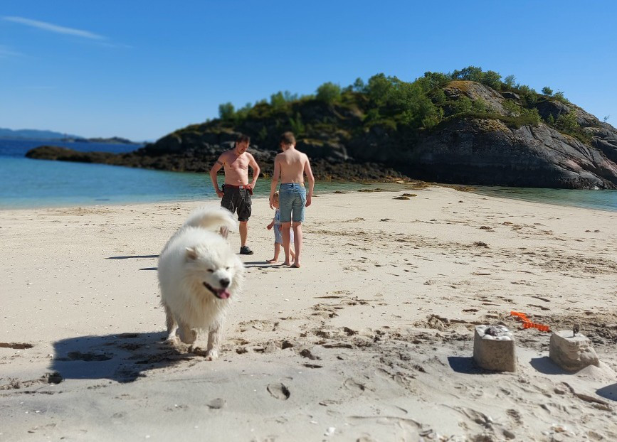 Nyt sommeren med gode hyttenaboer på denne perlen av en strand.