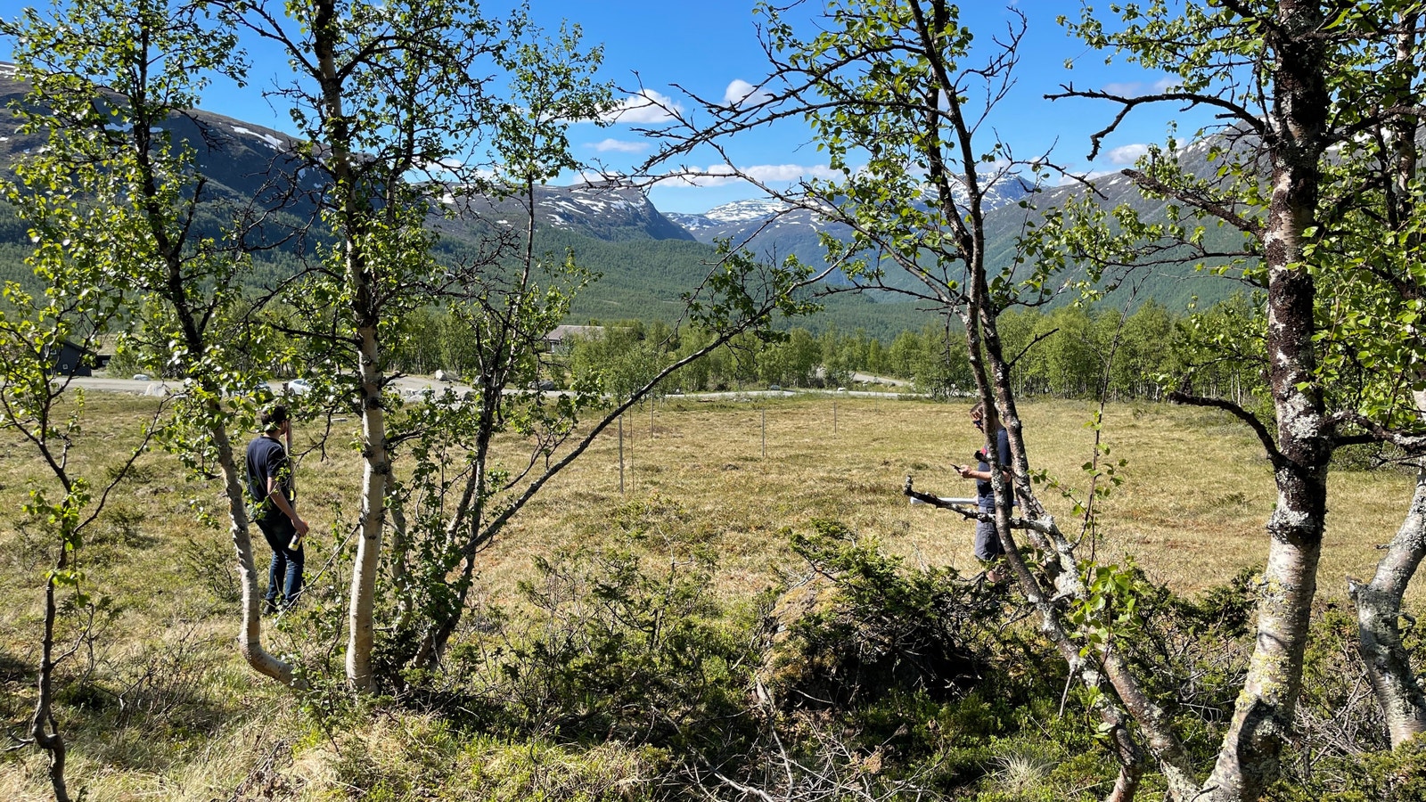 Utsikt fra tomt Galleribilde