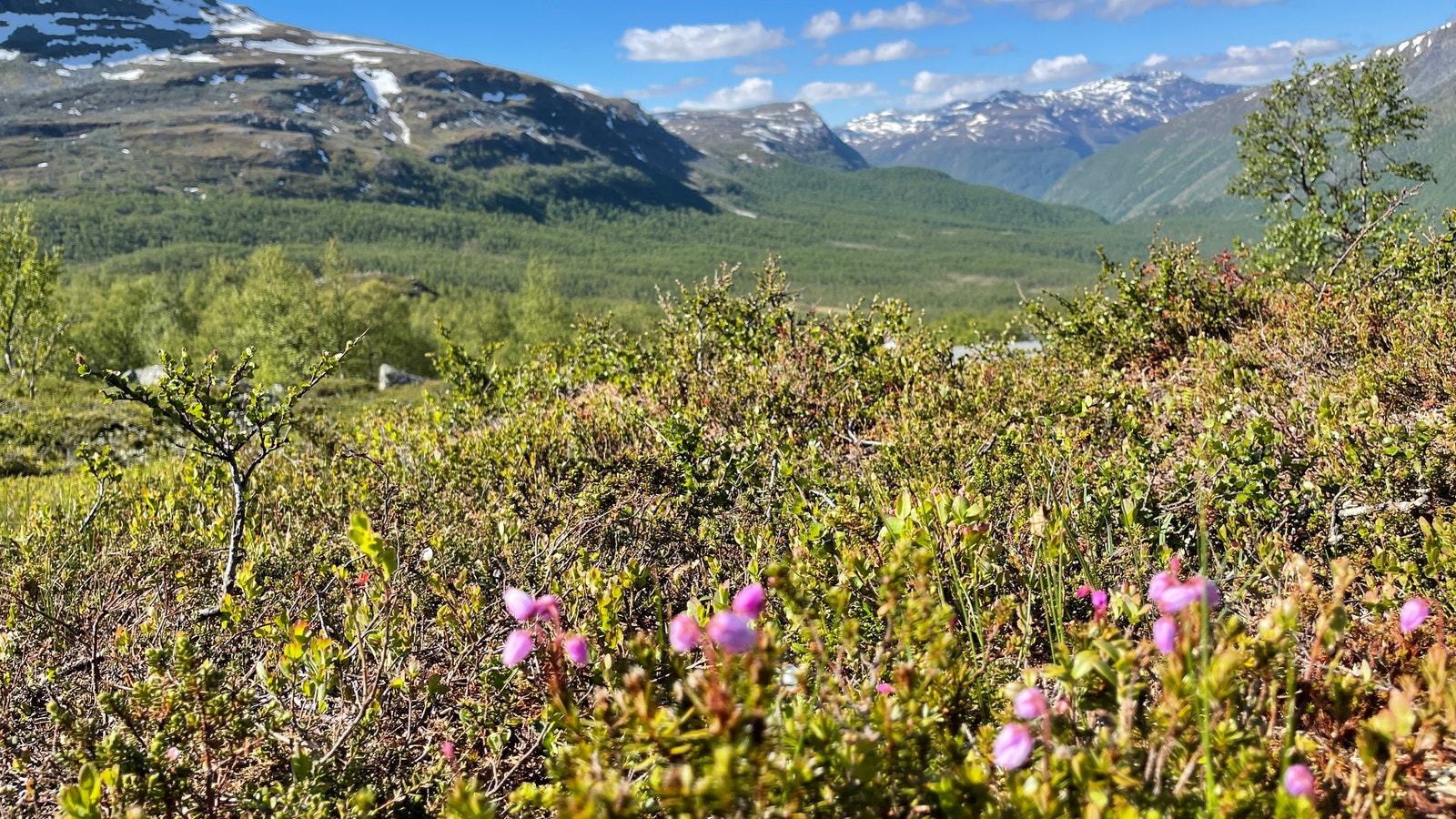 Utsikt fra tomt Galleribilde