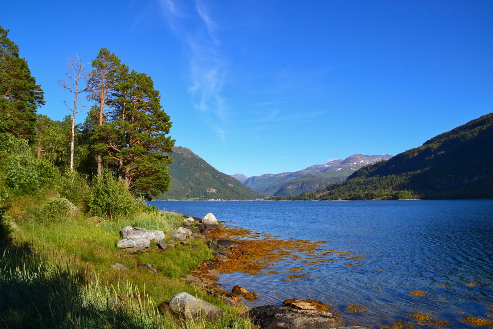 Velkommen til idyll ved Todalsfjorden Galleribilde