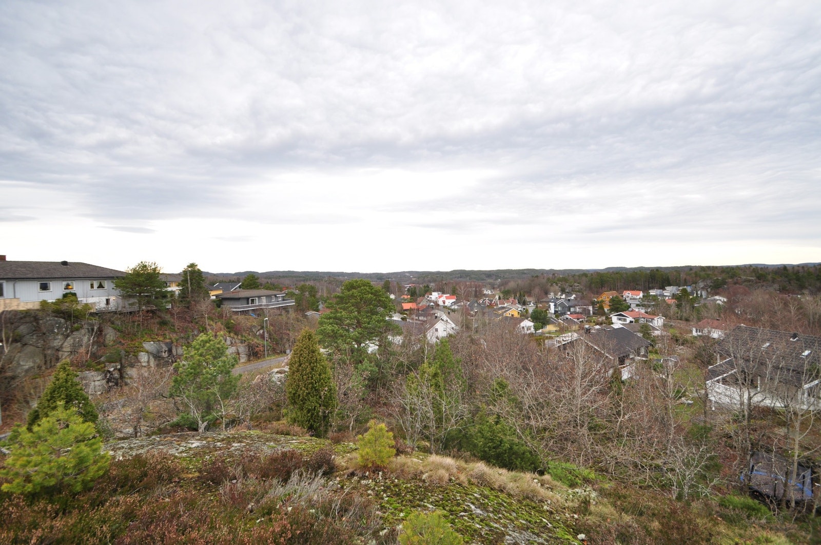 Utsikt fra kollen Galleribilde