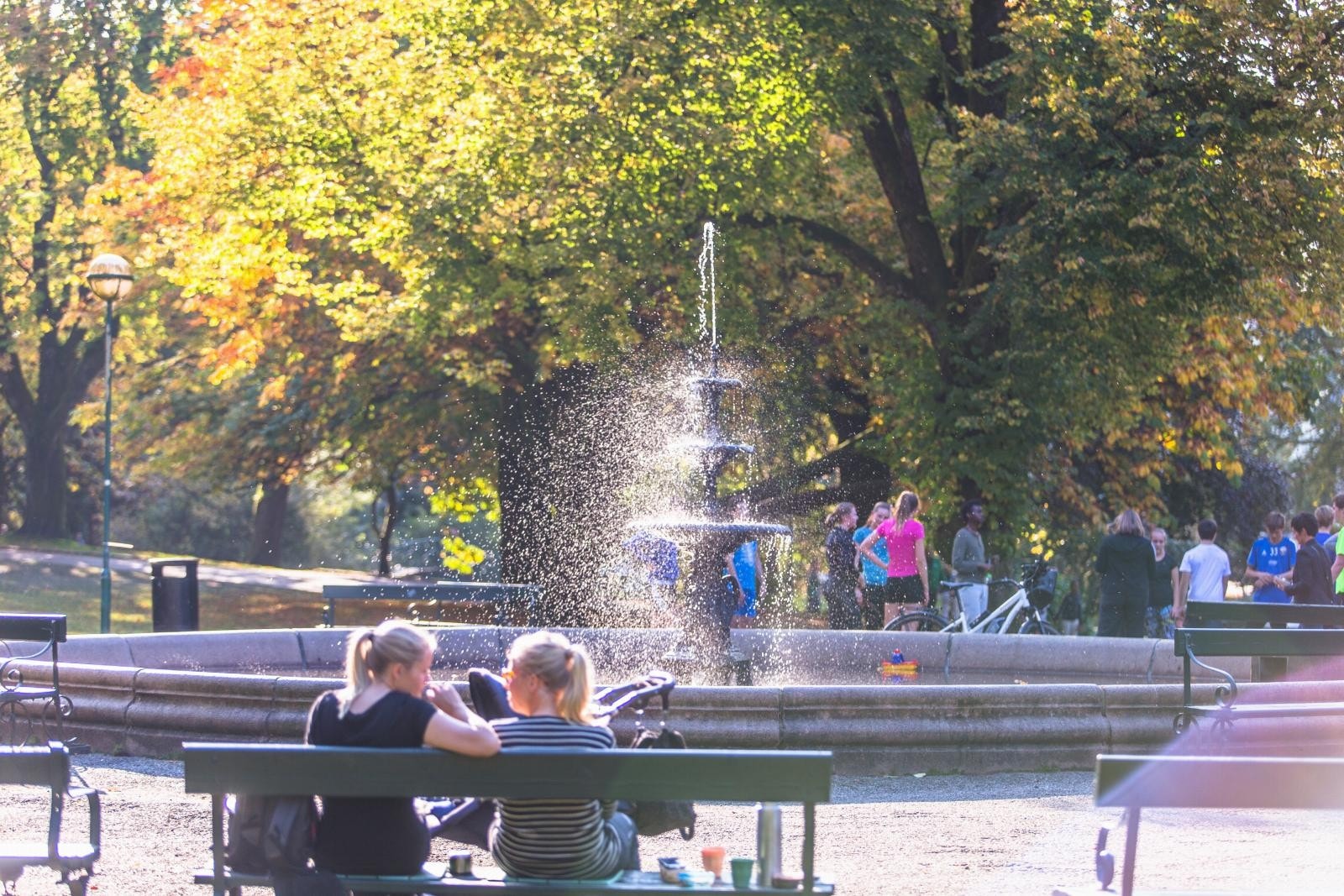 Nygårdsparken ligger like i bakkant. Skal man til BI eller næringsklyngen i Damsgårdssundet følger man veien gjennom parken. Galleribilde