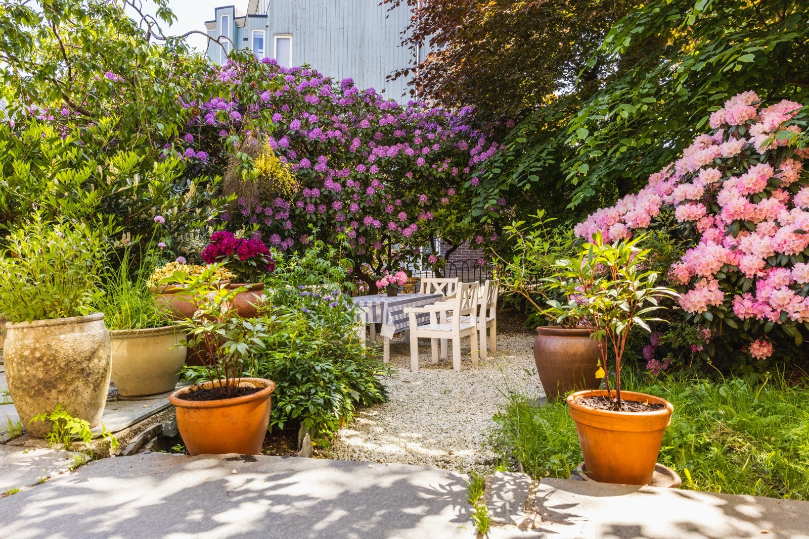 Hagens inngang er hellebelakt og omkranset av Rhododendron og sine grønne og blomstrende vekster i 1890 stil Galleribilde