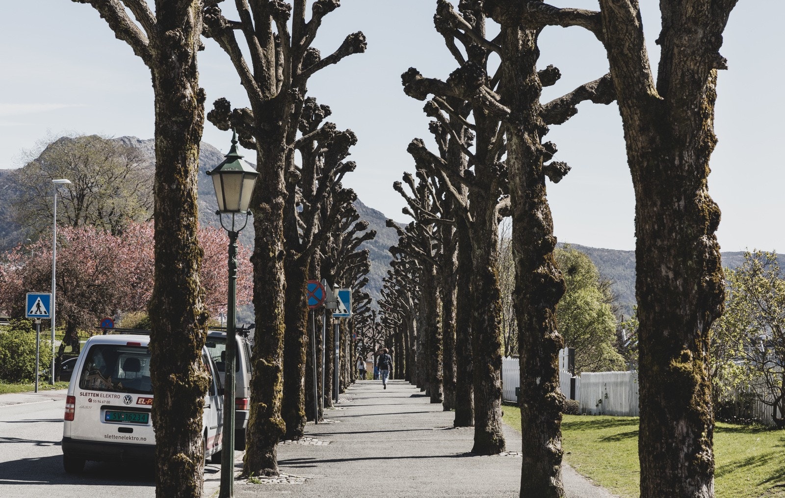 Nydelig nærområde med kort avstand til alt ein skulle ynskje. Galleribilde