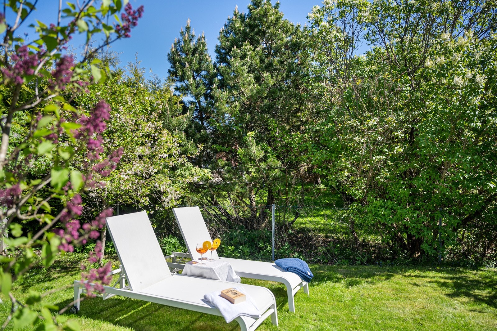 Flott uteområde opparbeidet med plen og flotte vekster. Galleribilde