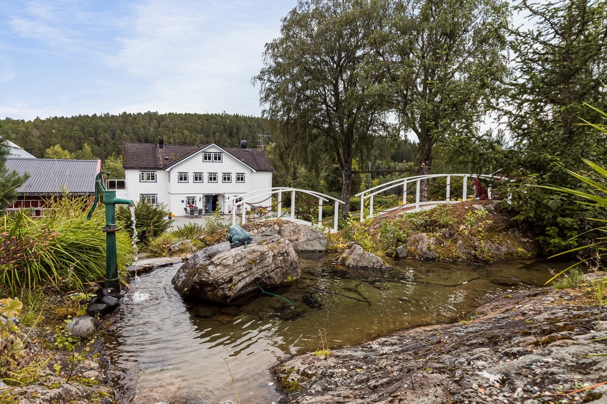 Fantastisk opparbeidet hage med uttallige bærbusker og frukttrær, bla. druer, plommer, epler, moreller, bringebær mv. Galleribilde