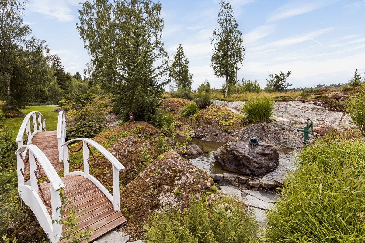 Det vokser i tillegg bla. blåbær, tyttebær og villbringebær i hagen. Galleribilde
