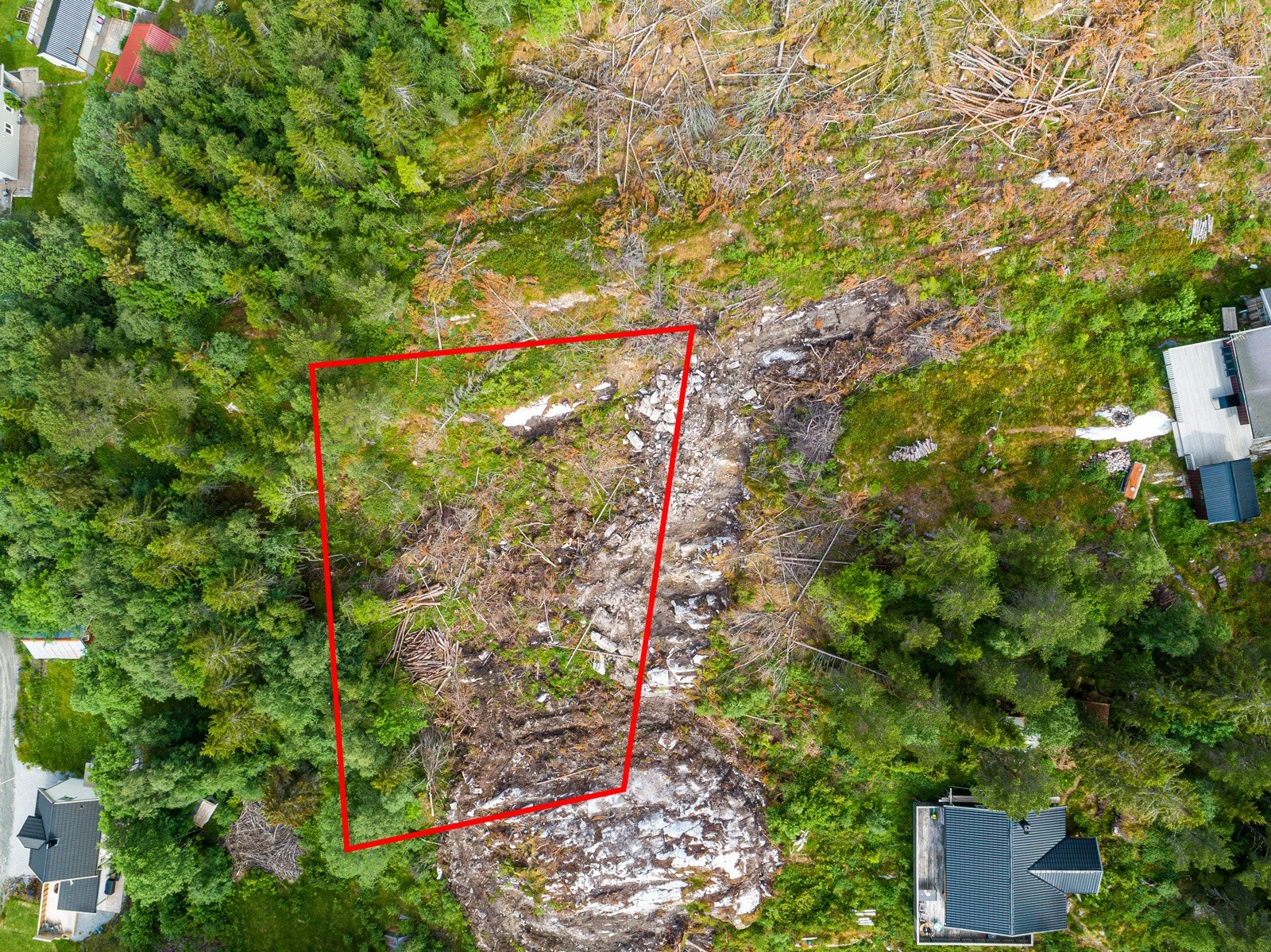 Tomten sett ovenfra Galleribilde